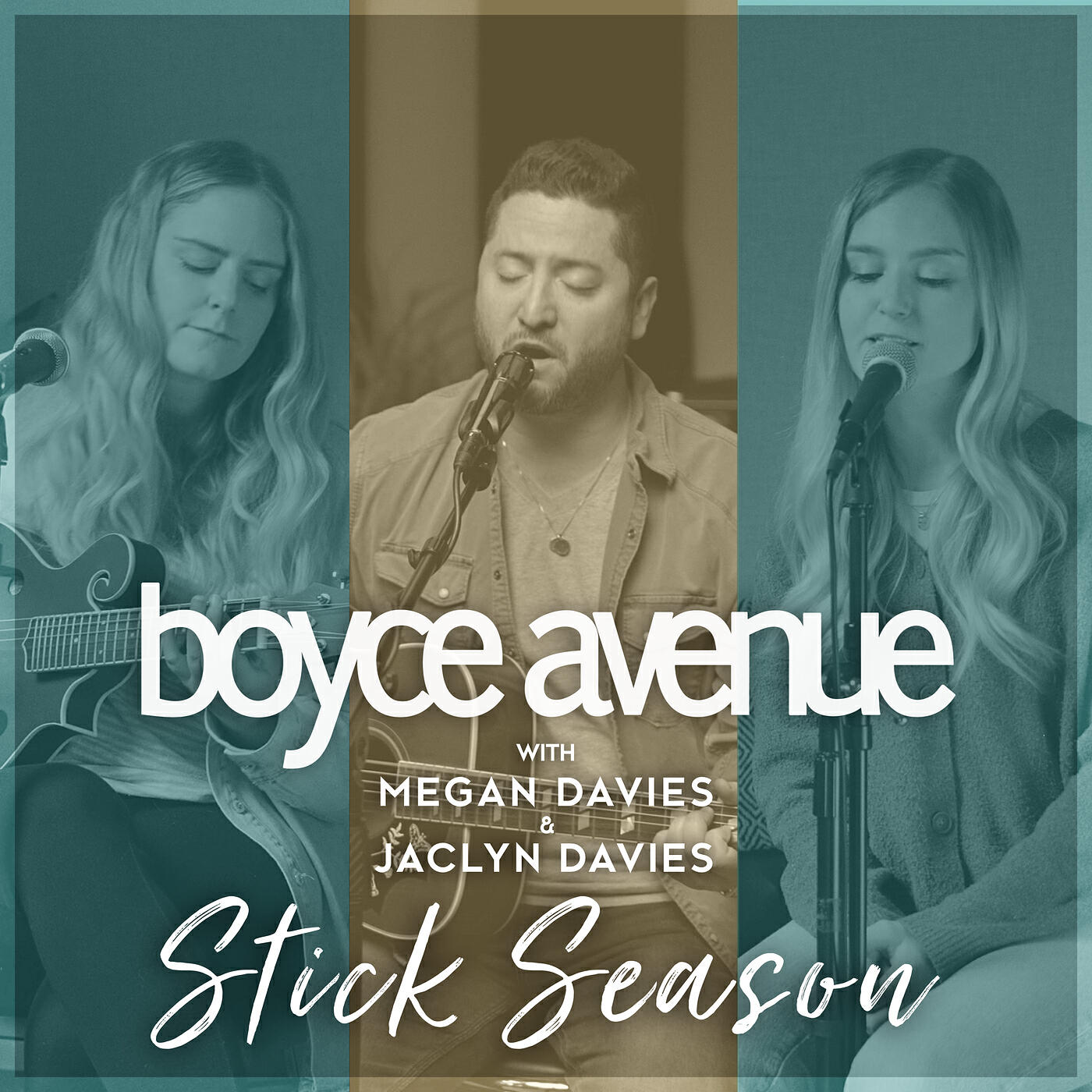 Релиз Stick Season