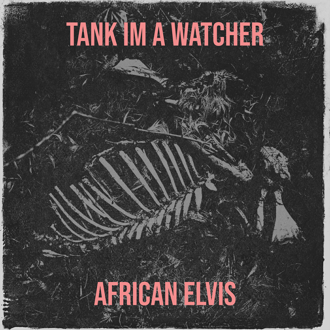 African Elvis