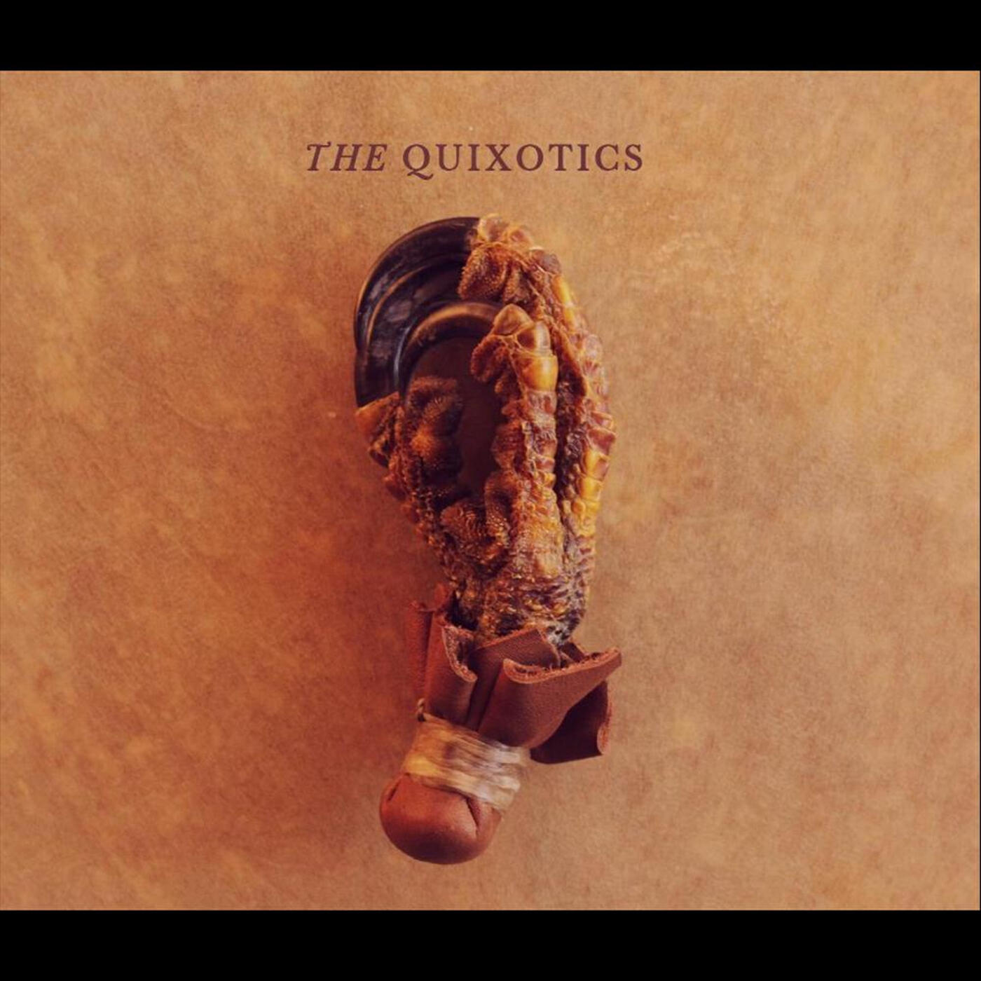 Релиз The Quixotics