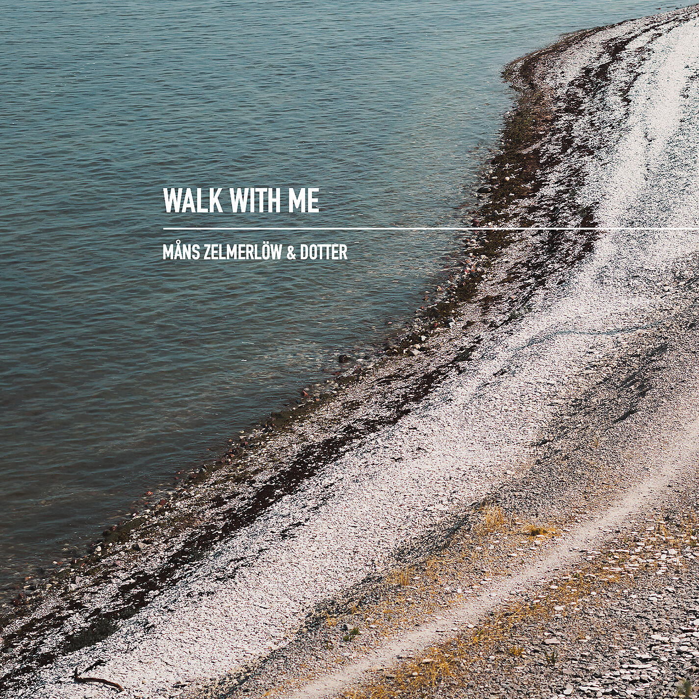 Релиз Walk With Me