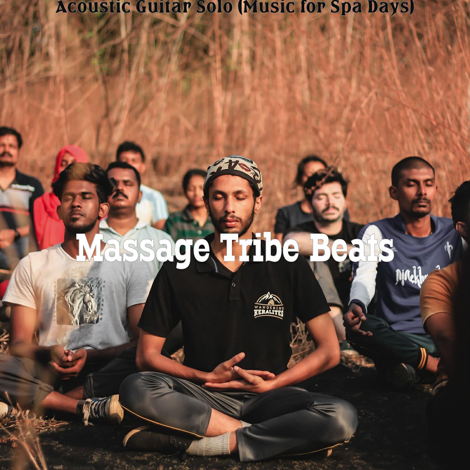 Релиз Acoustic Guitar Solo (Music for Spa Days)