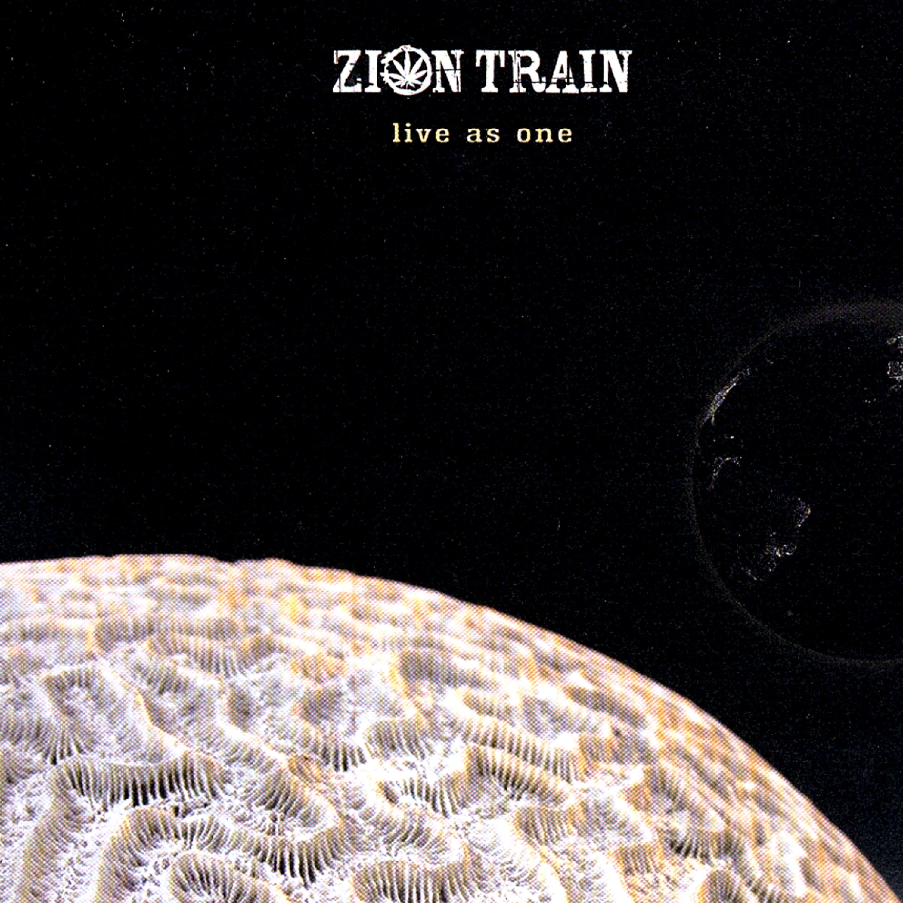 Скачать песню Zion Train, Tippa Irie, Raiz - What a Situation бесплатно в MP3 для Android и iOS