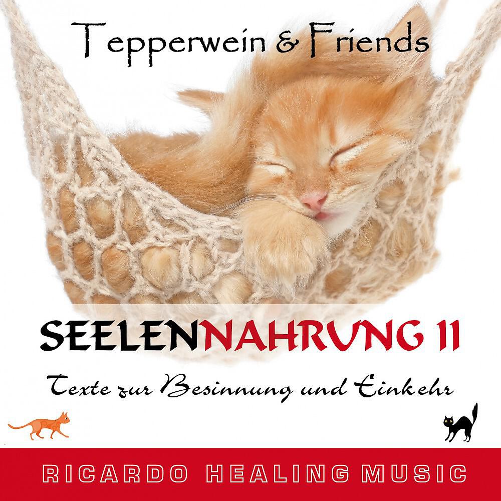 Релиз Seelennahrung 2: Texte zur Besinnung und Einkehr (Tepperwein and Friends)