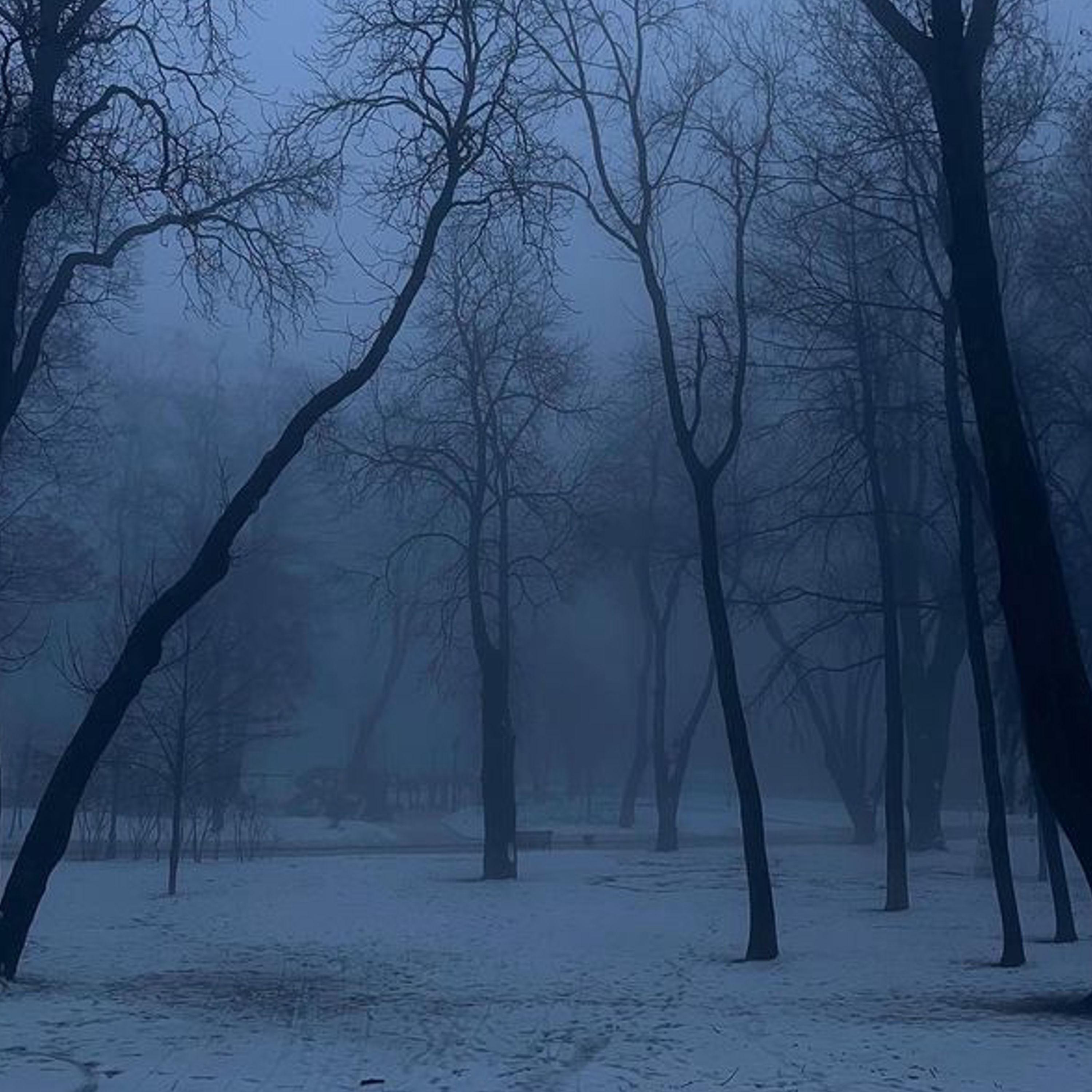 Релиз 8