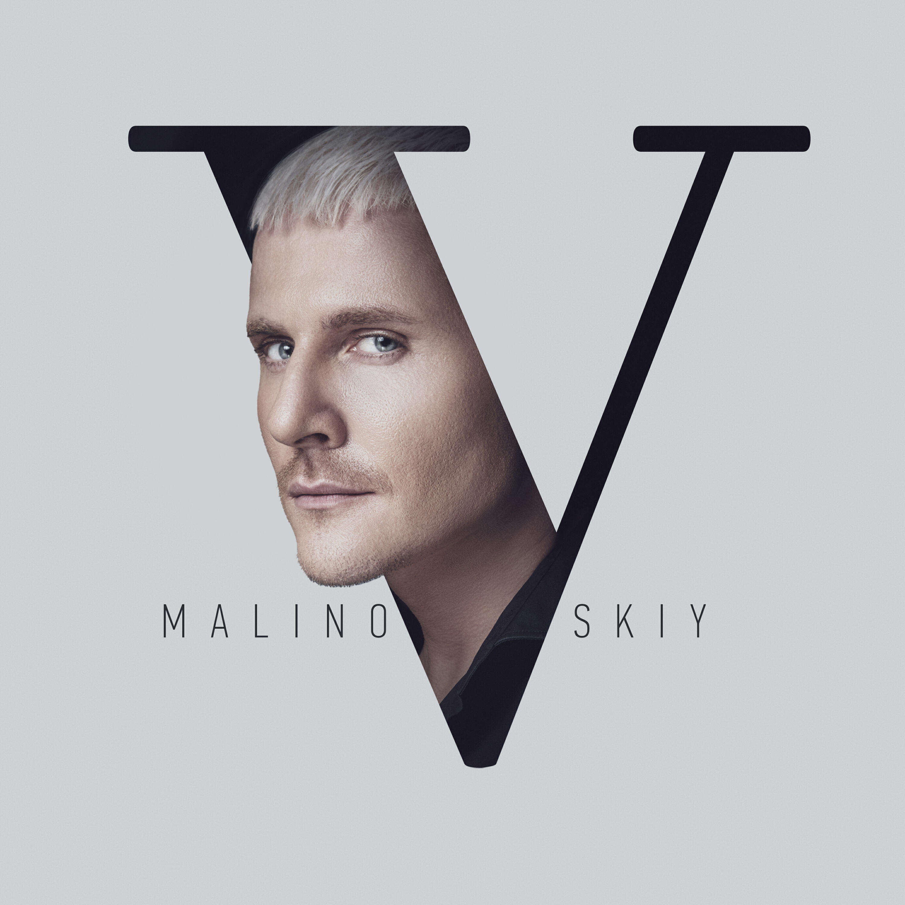 Релиз V