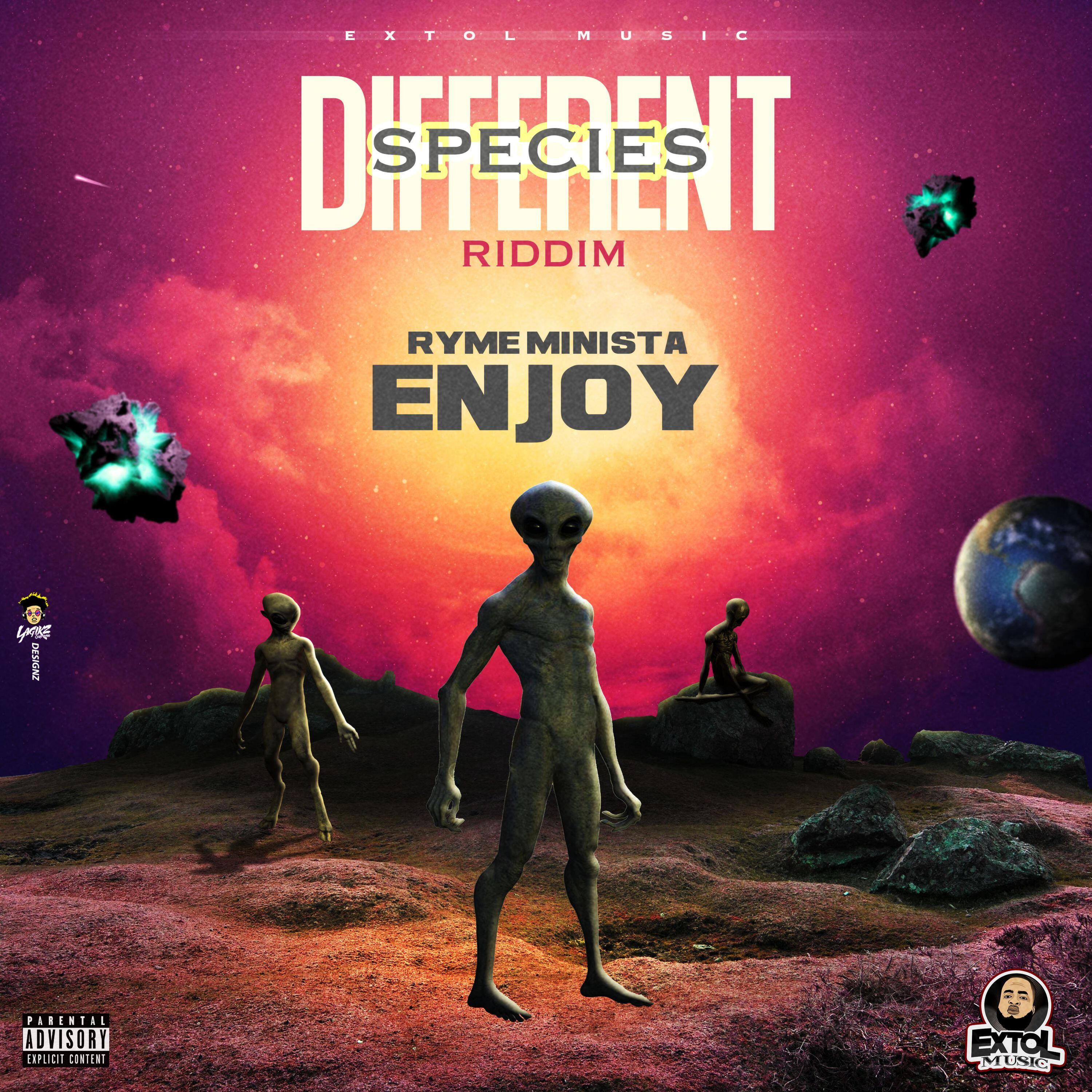 Релиз Enjoy