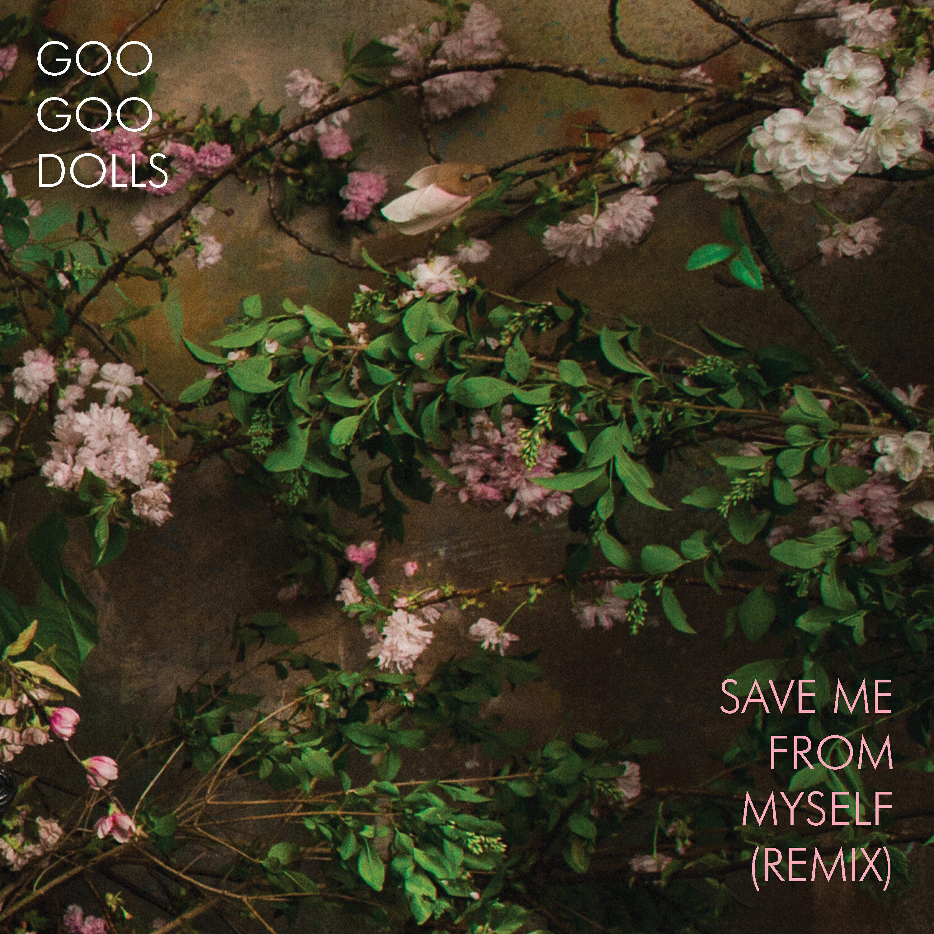 Релиз Save Me From Myself (Remix)
