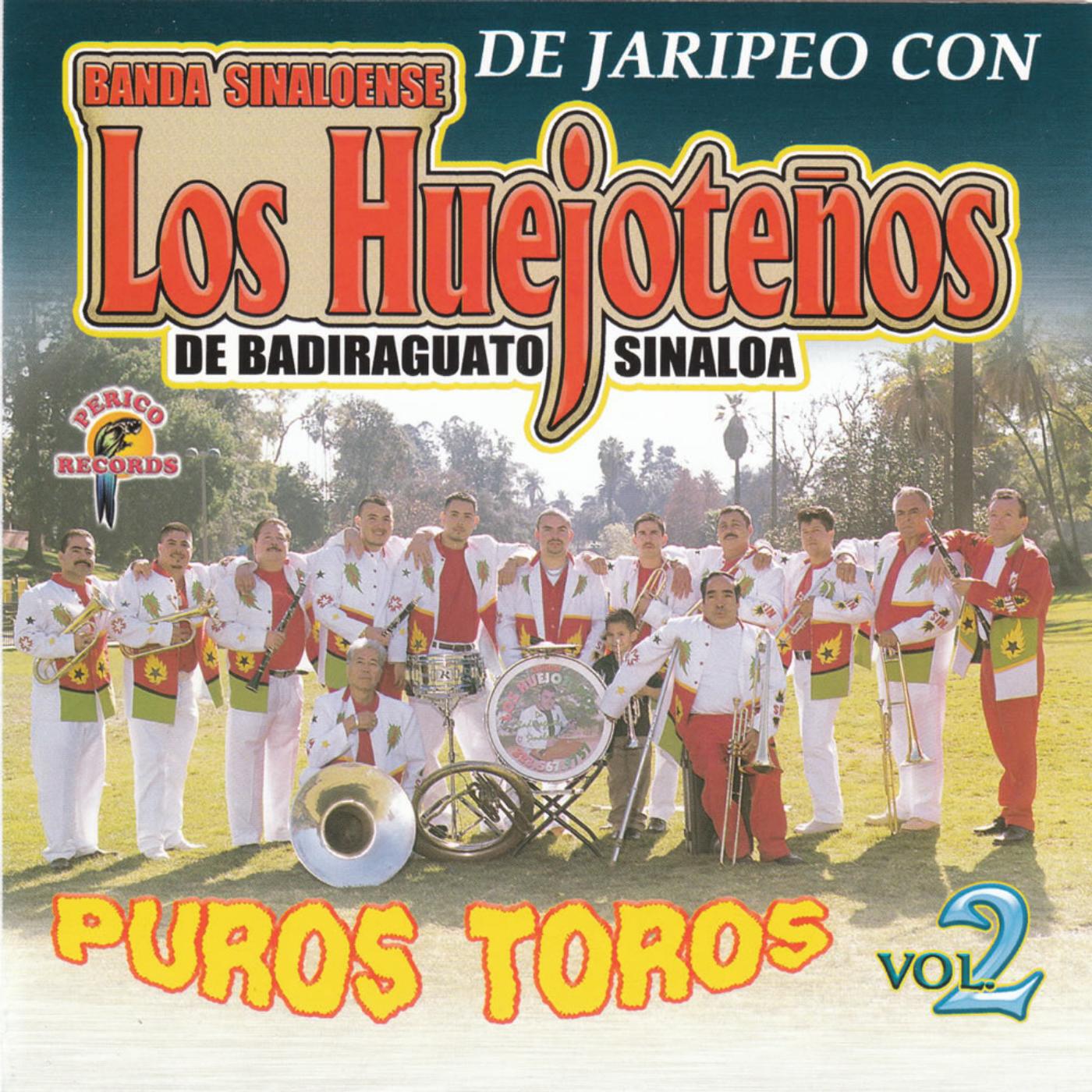 Релиз "Puros Toros Vol. 2"