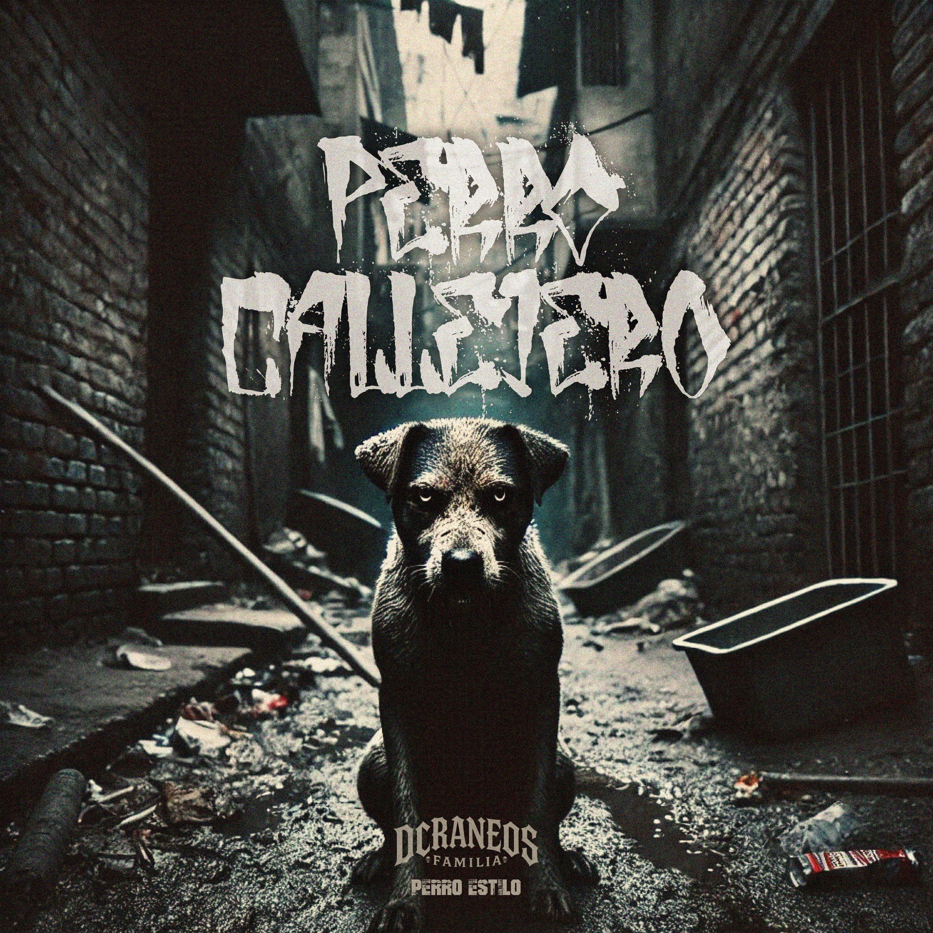 Релиз Perro Callejero