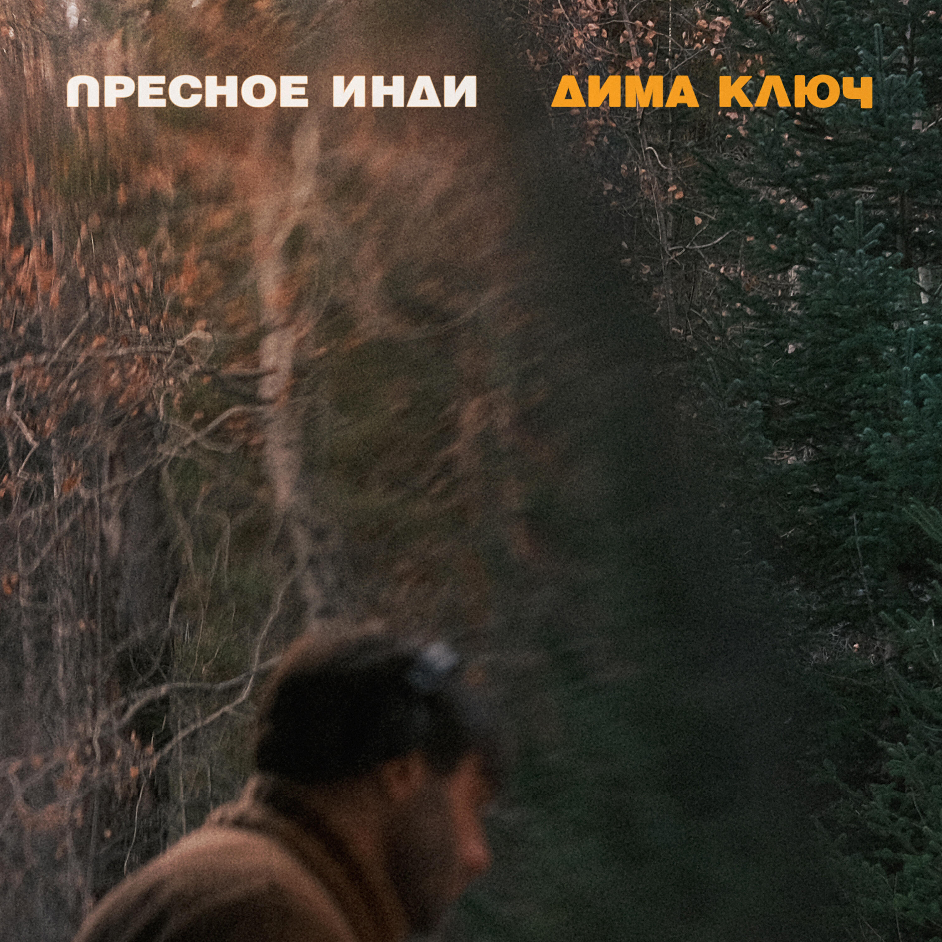 Релиз Пресное Инди