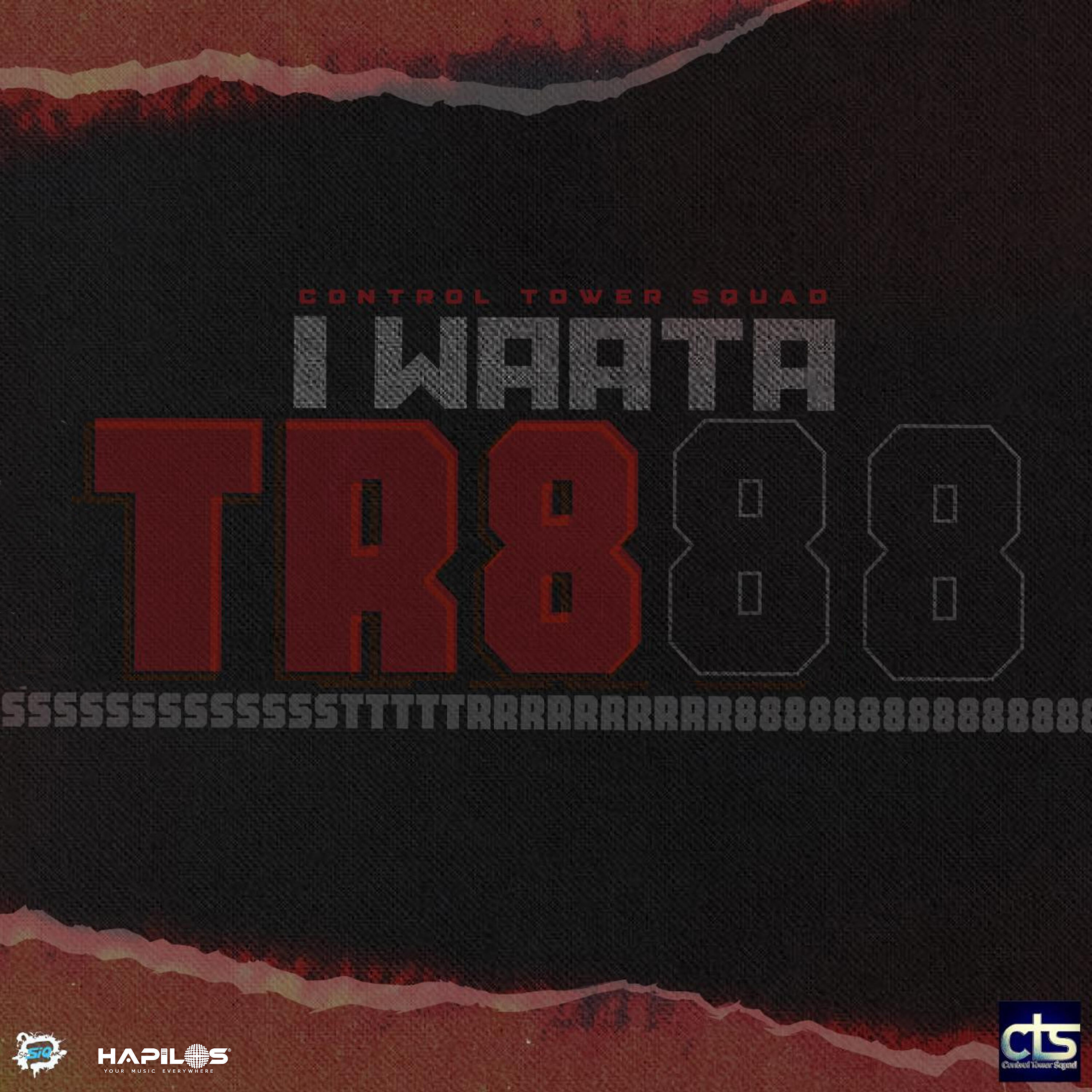 Релиз Tr888