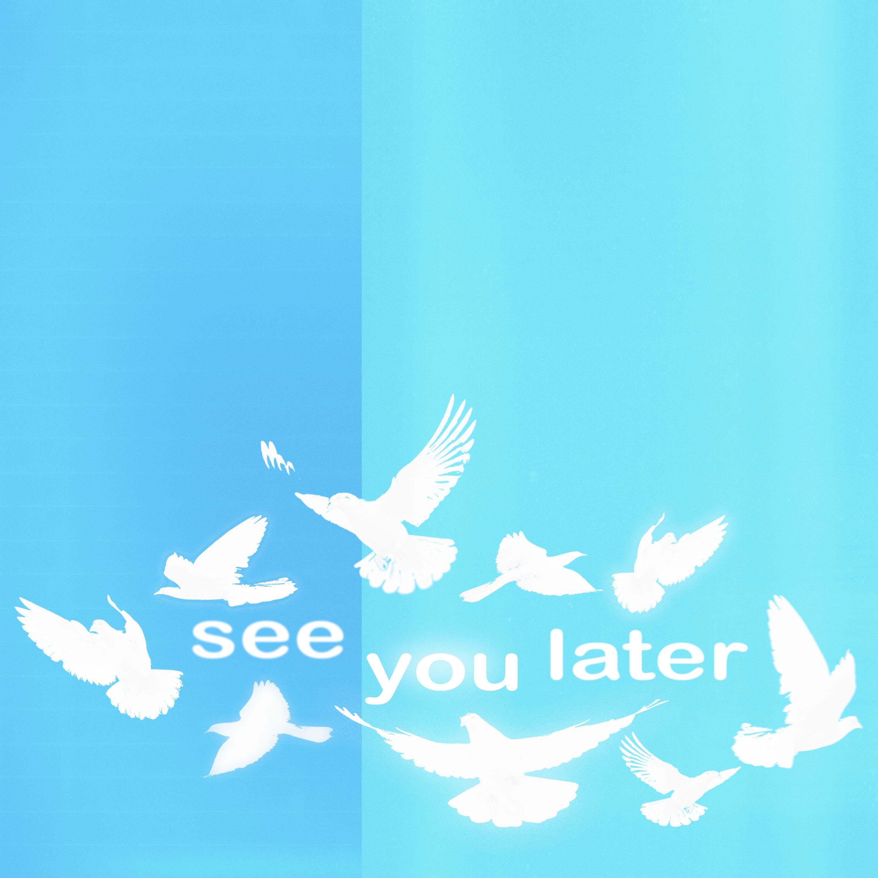 Релиз see you later