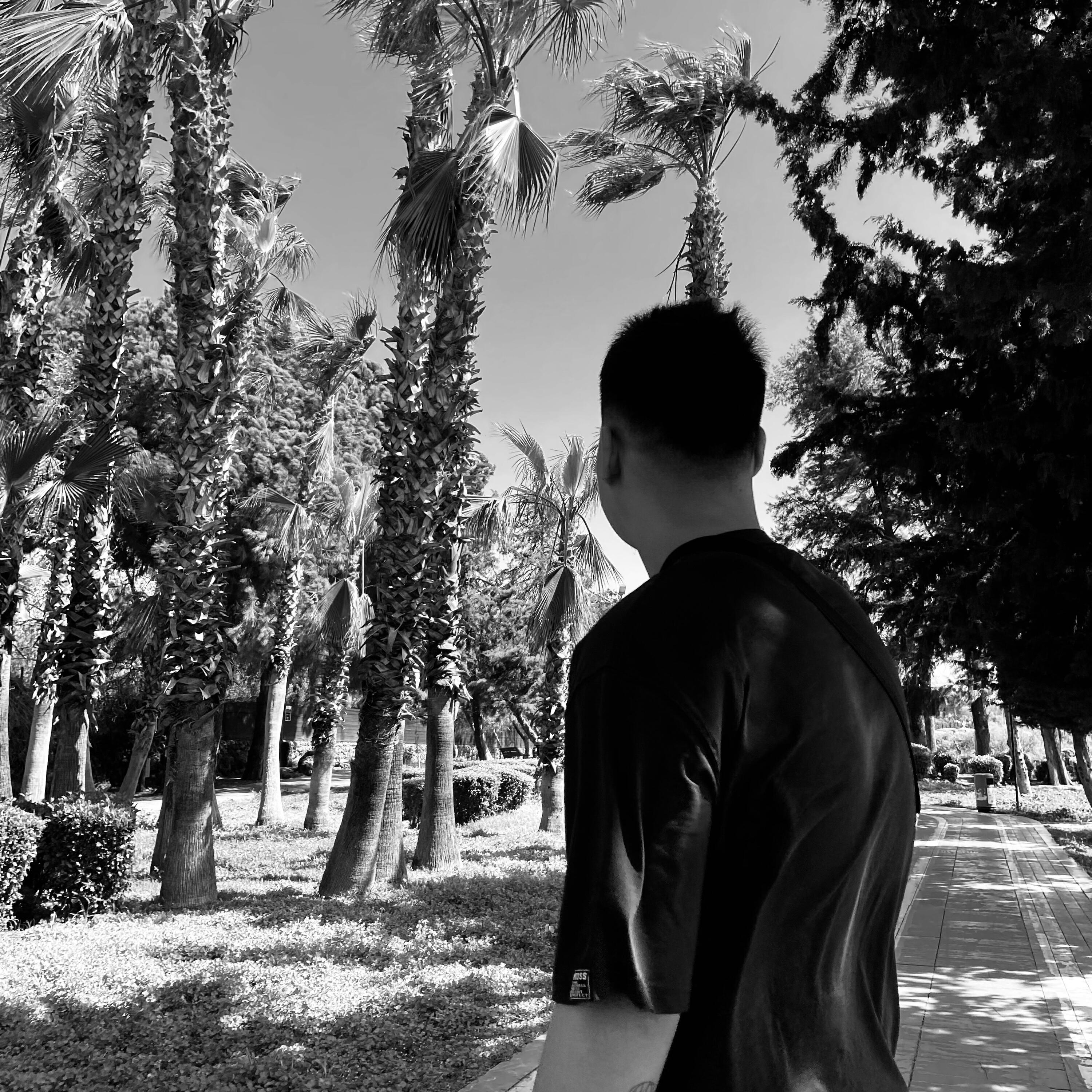 Релиз Panic Attack