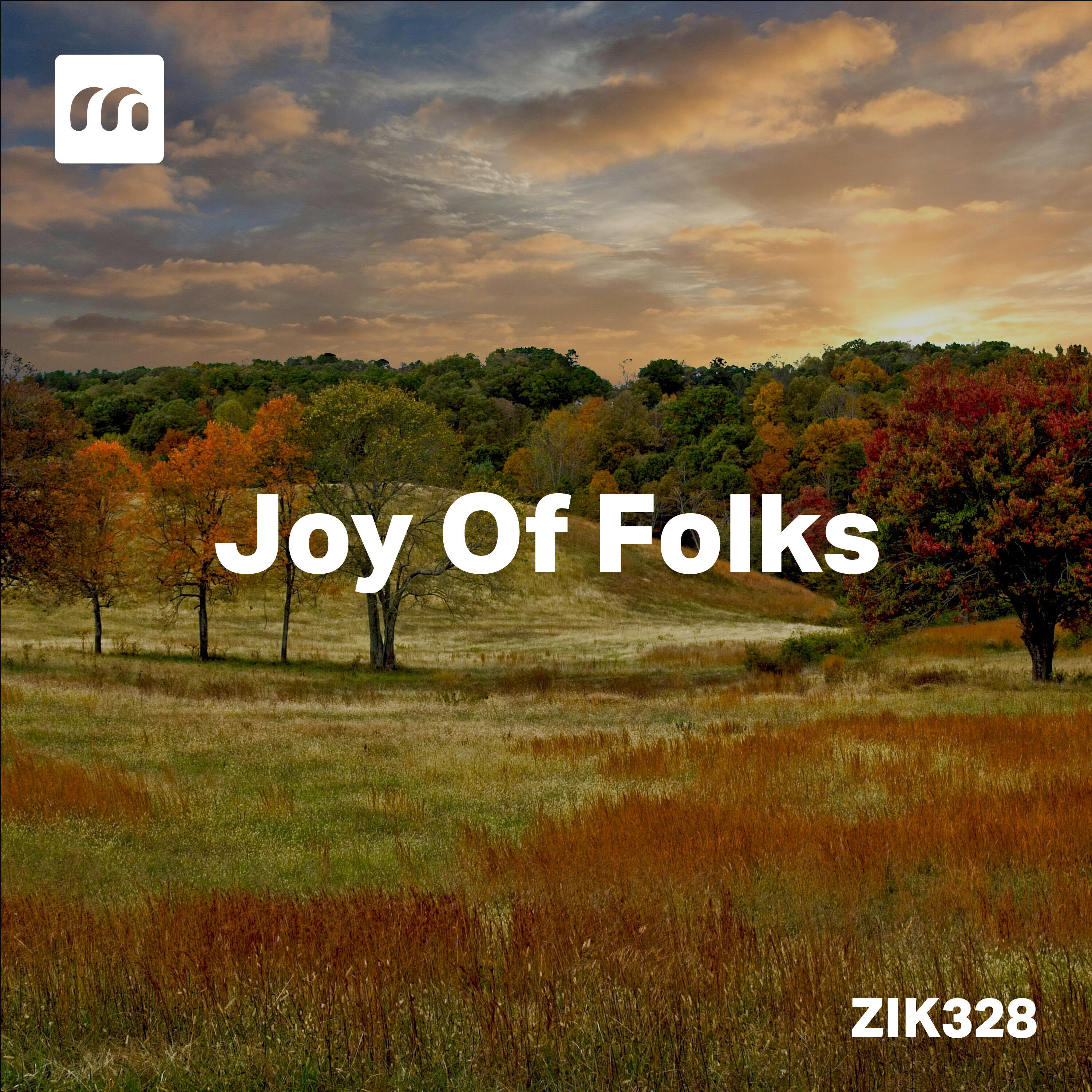 Релиз Joy Of Folks