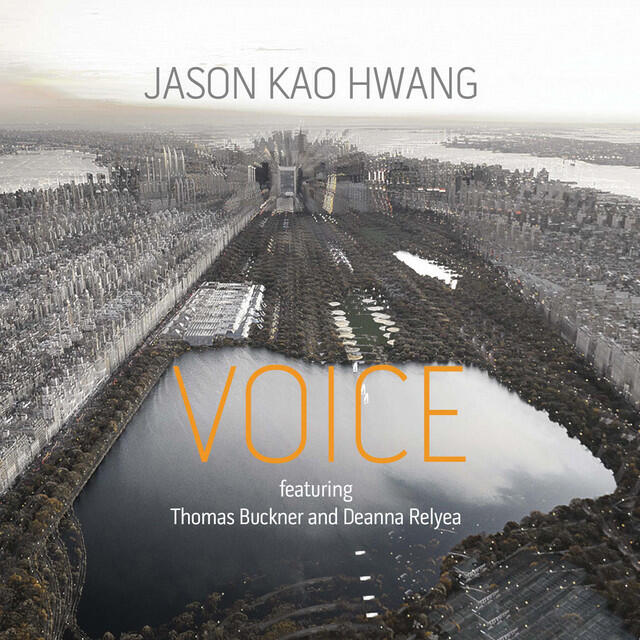 Постер альбома Voice