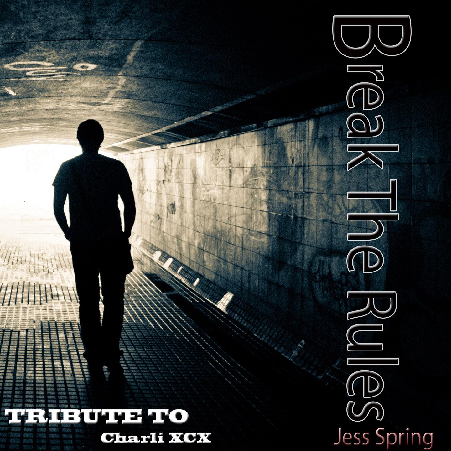 Релиз Break the Rules: Tribute to Charli XCX