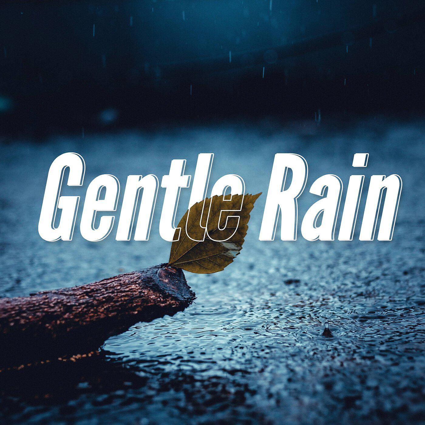 Релиз Gentle Rain