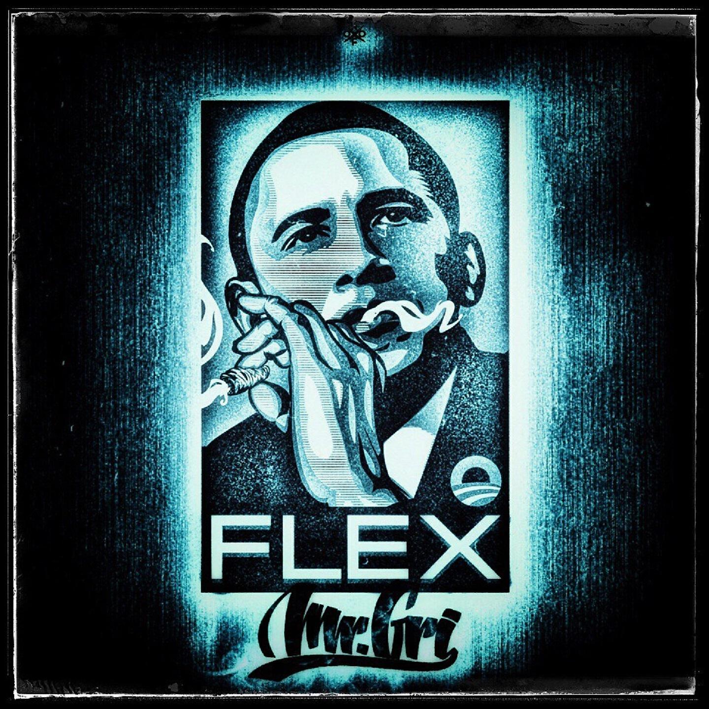 Релиз Flex