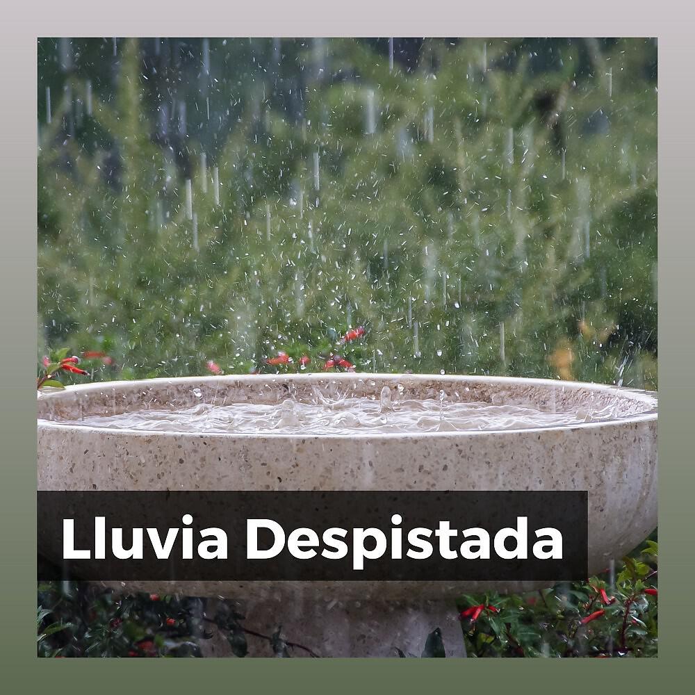 Релиз Lluvia Despistada