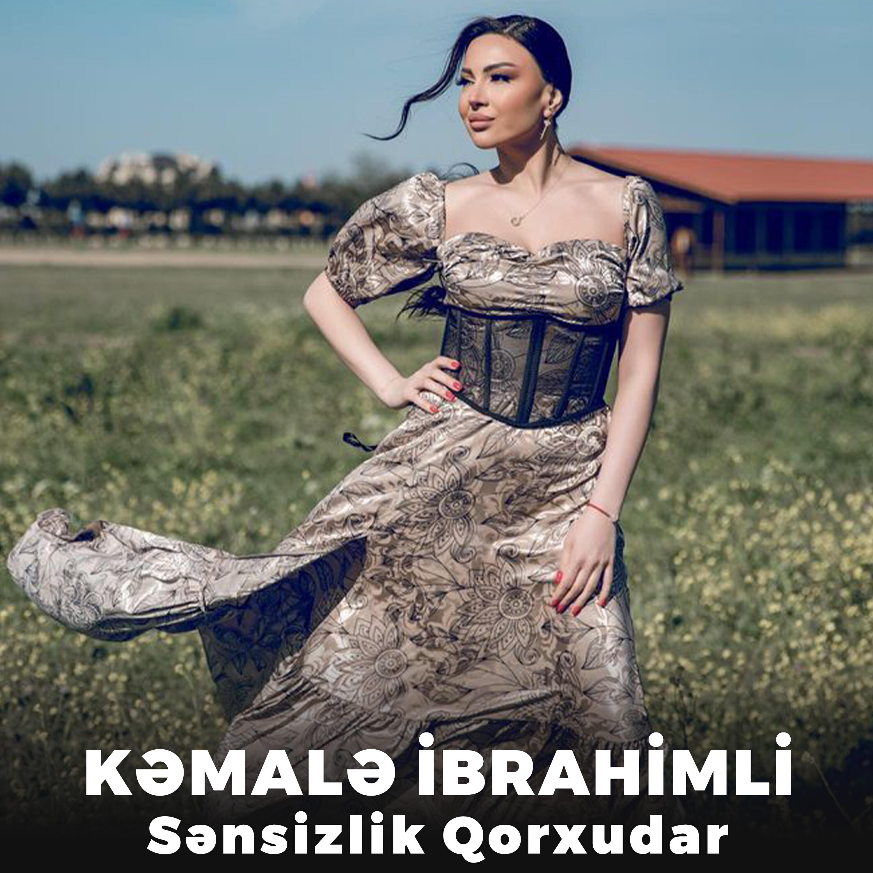 Релиз Sənsizlik Qorxudar