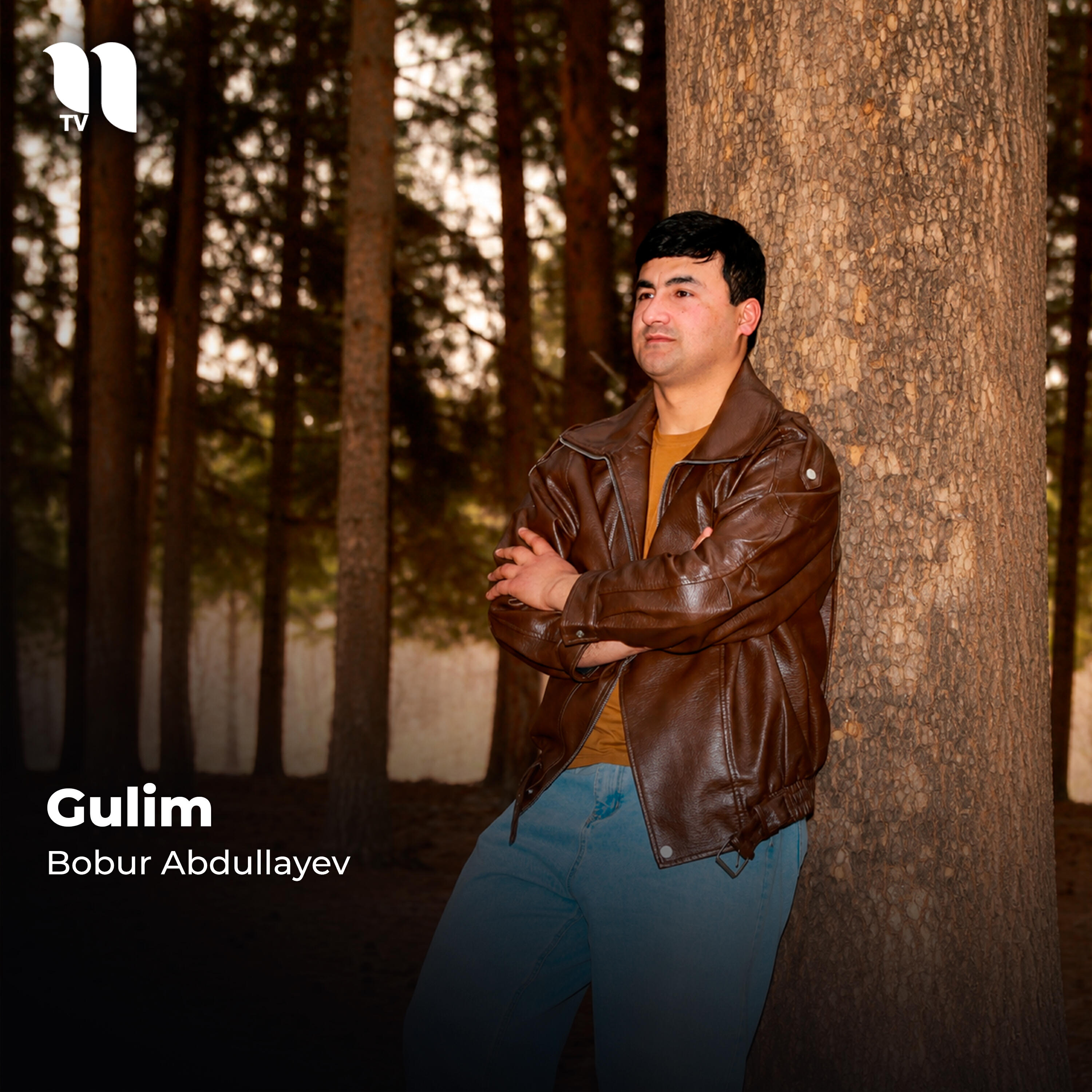 Релиз Gulim
