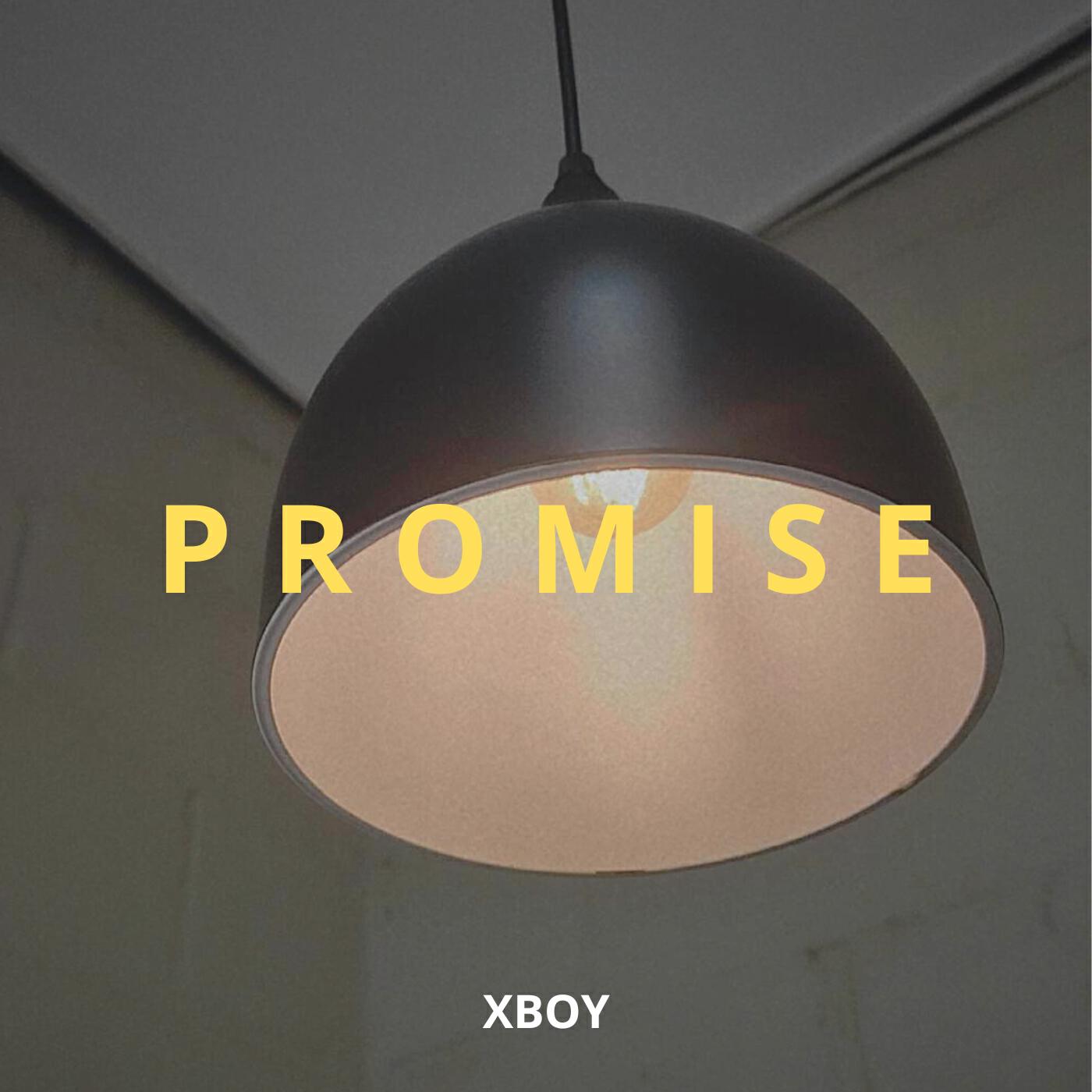 Релиз PROMISE