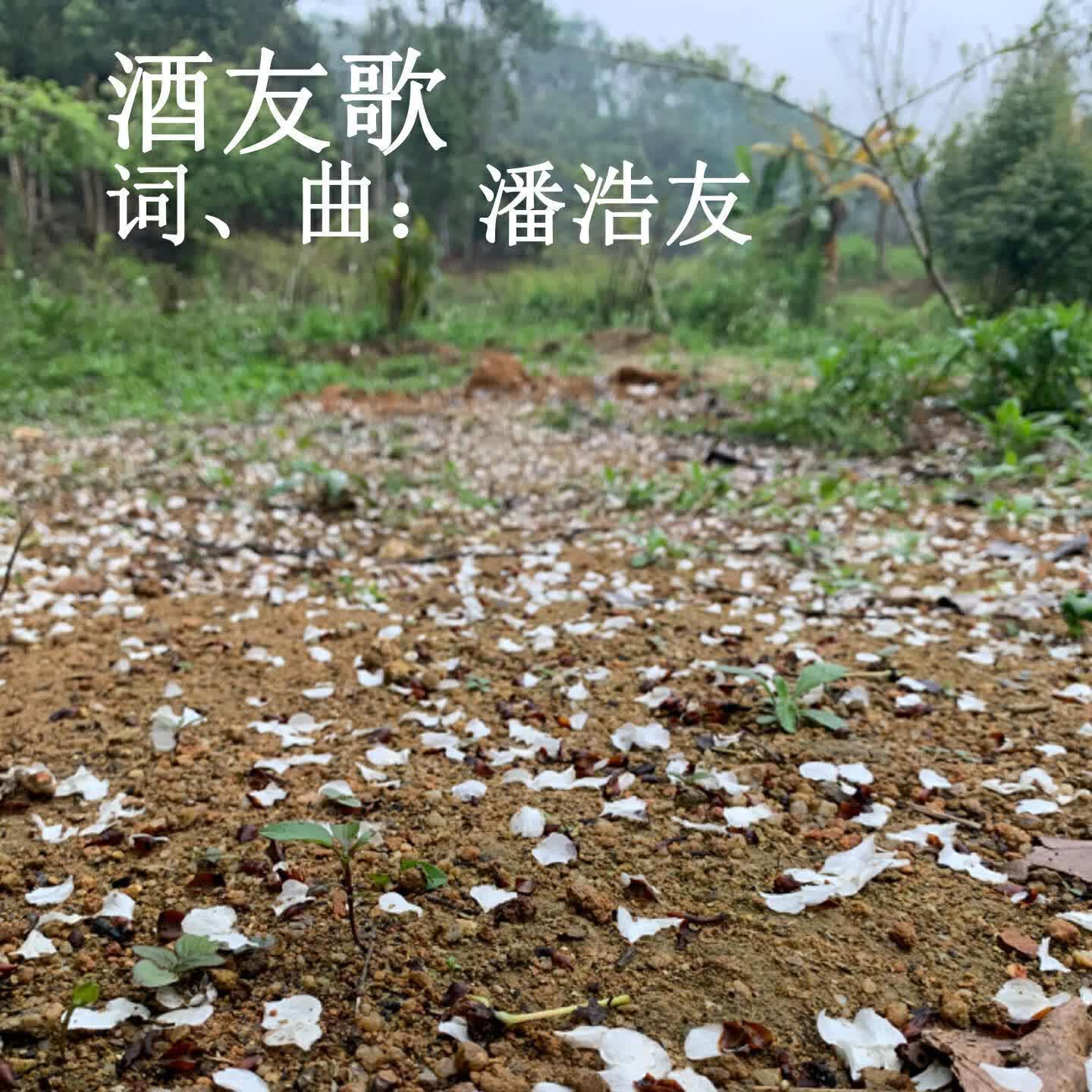 潘浩友