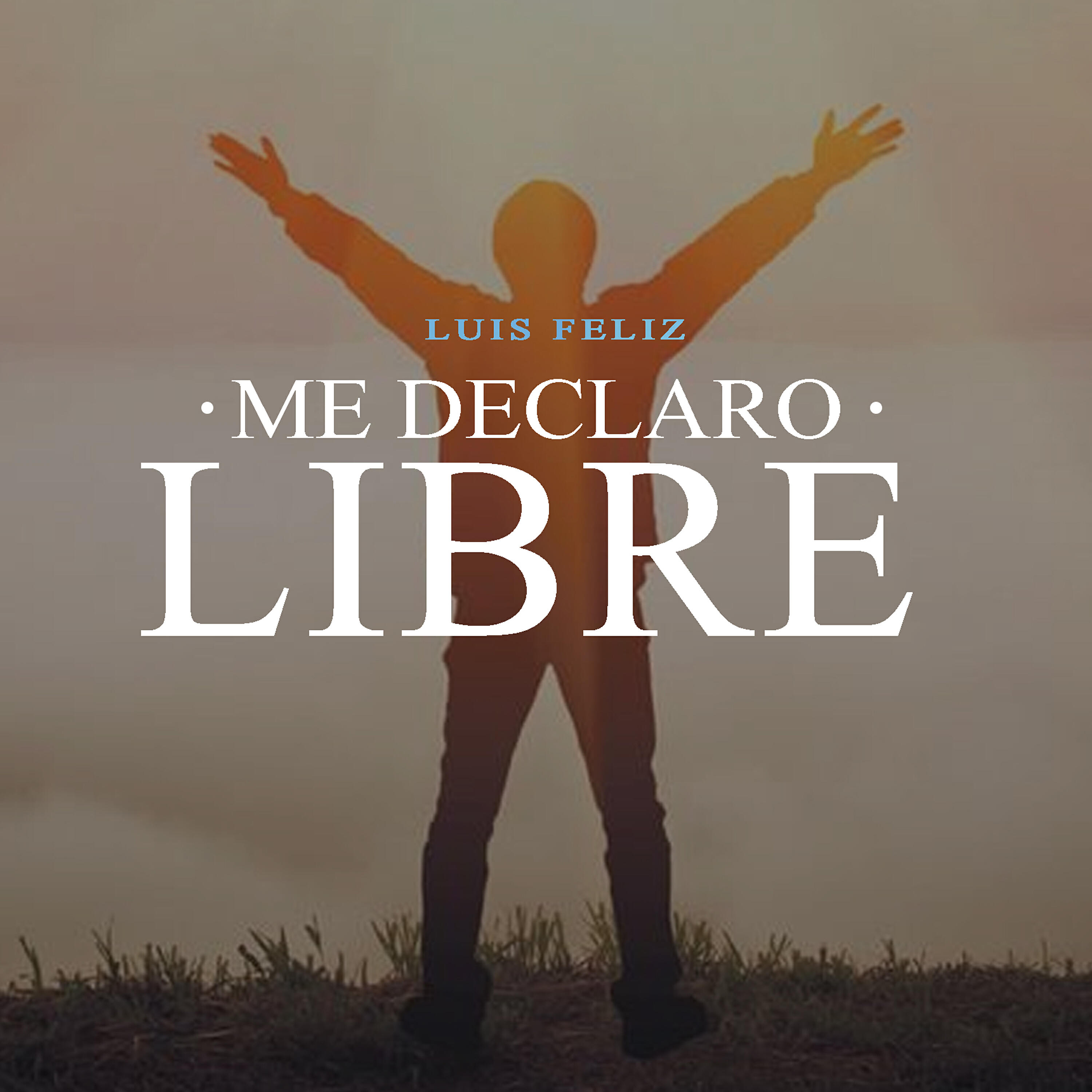 Luis Feliz