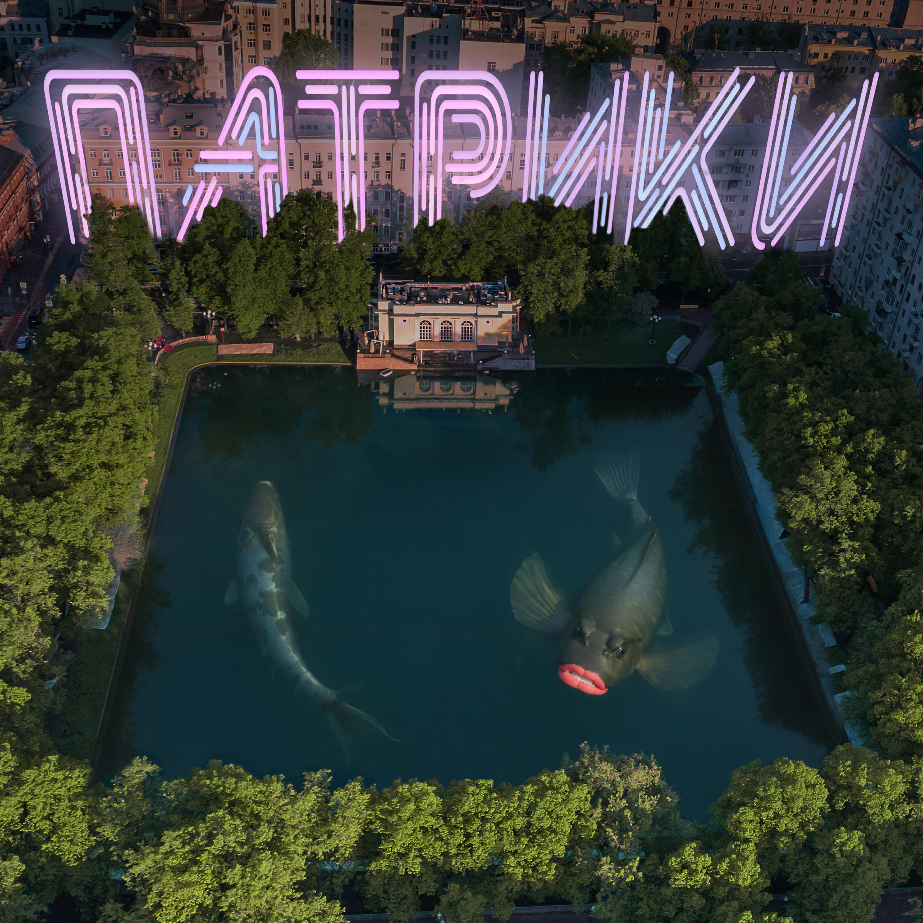 Релиз Патрики