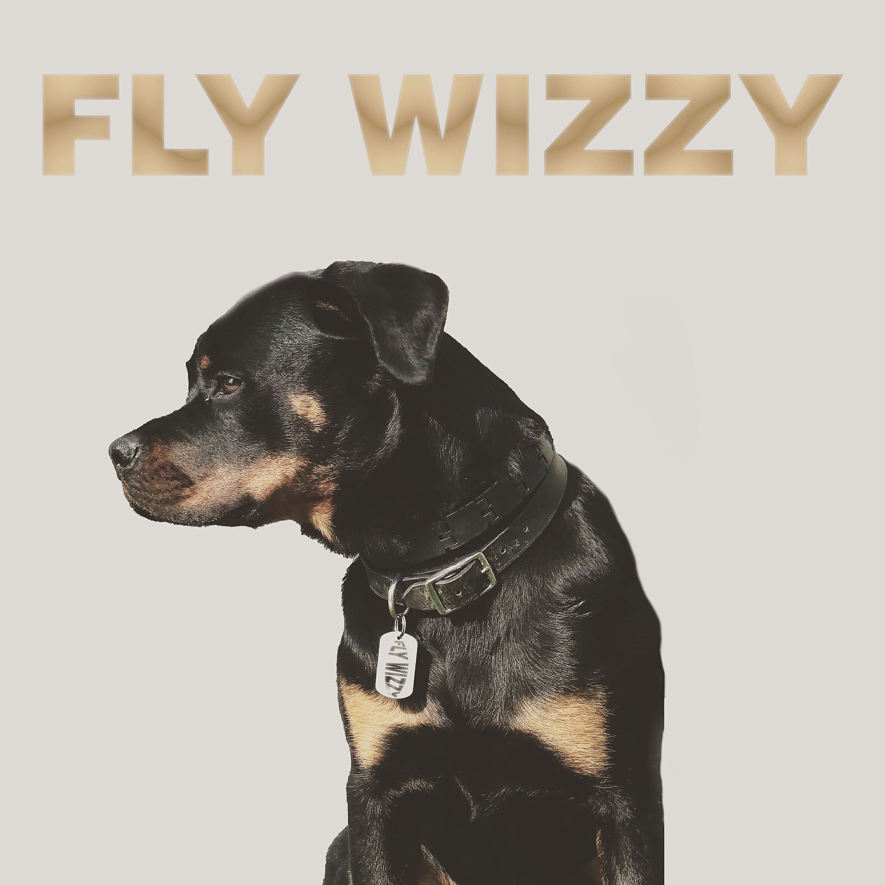 Релиз Ima Dog (Radio Edit)