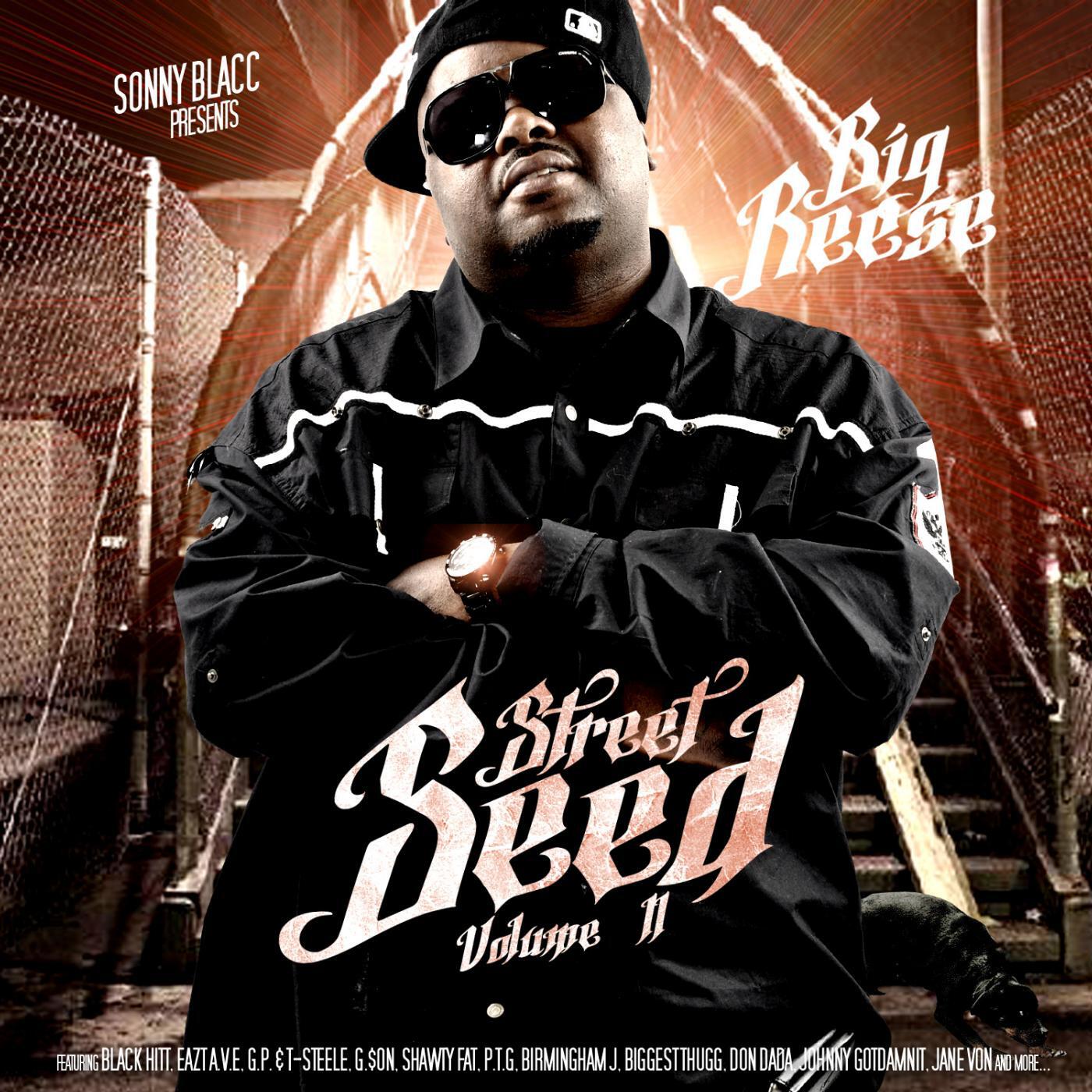 Релиз Street Seed, Vol. 2