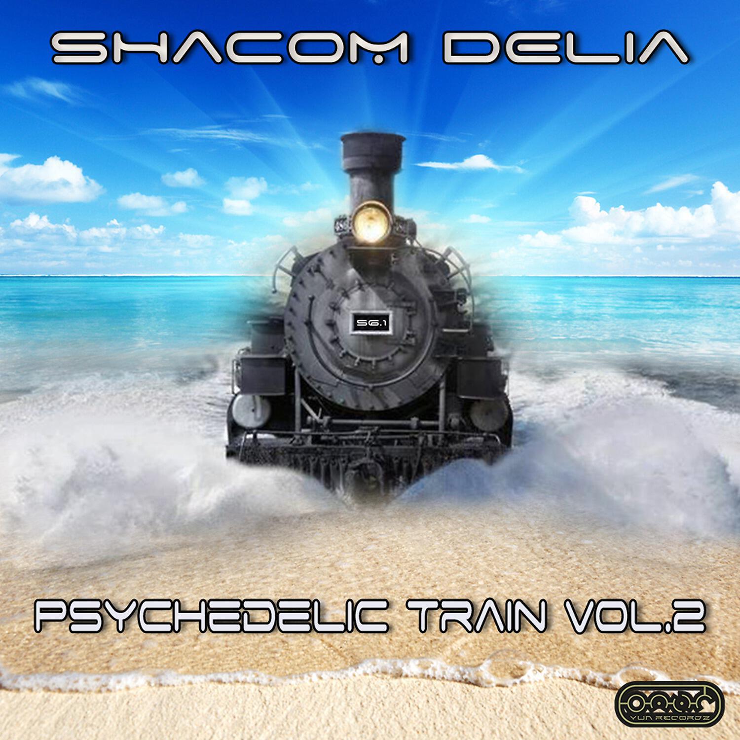 Релиз Psychedelic Train, Vol. 2