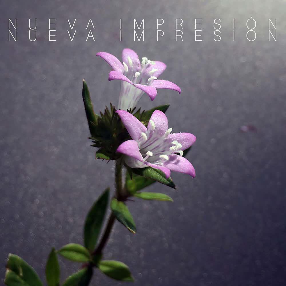 Релиз Nueva Impresión