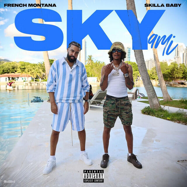 Релиз Skyami