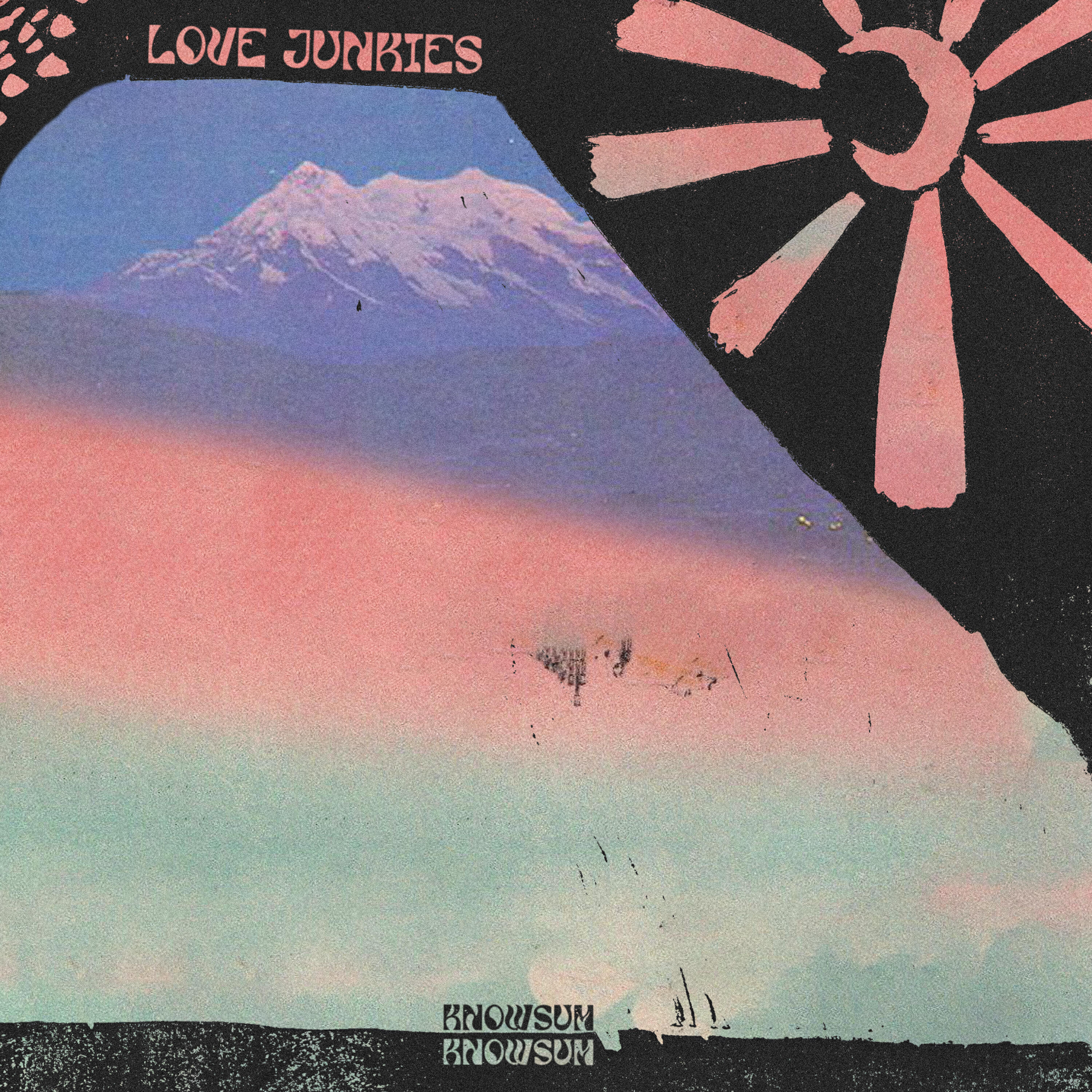 Постер альбома love junkies