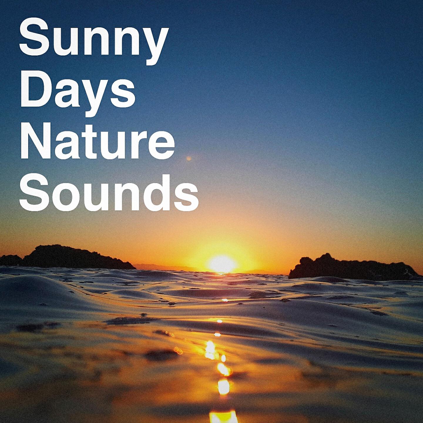 Релиз Sunny Days Nature Sounds