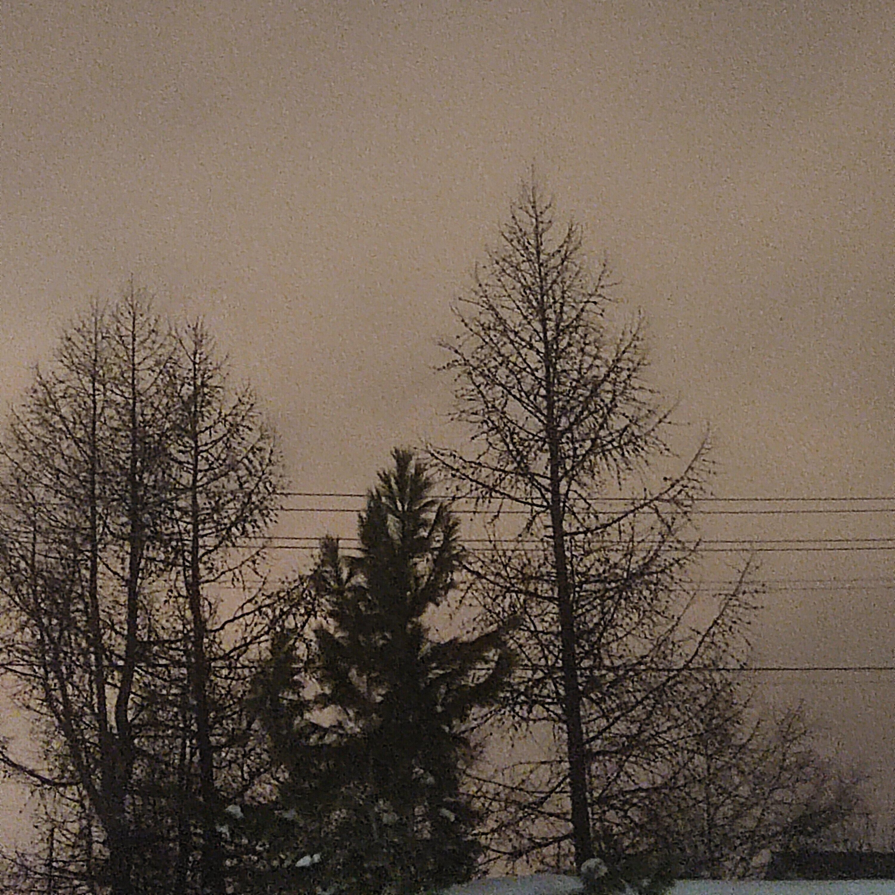Релиз WARM WINTER