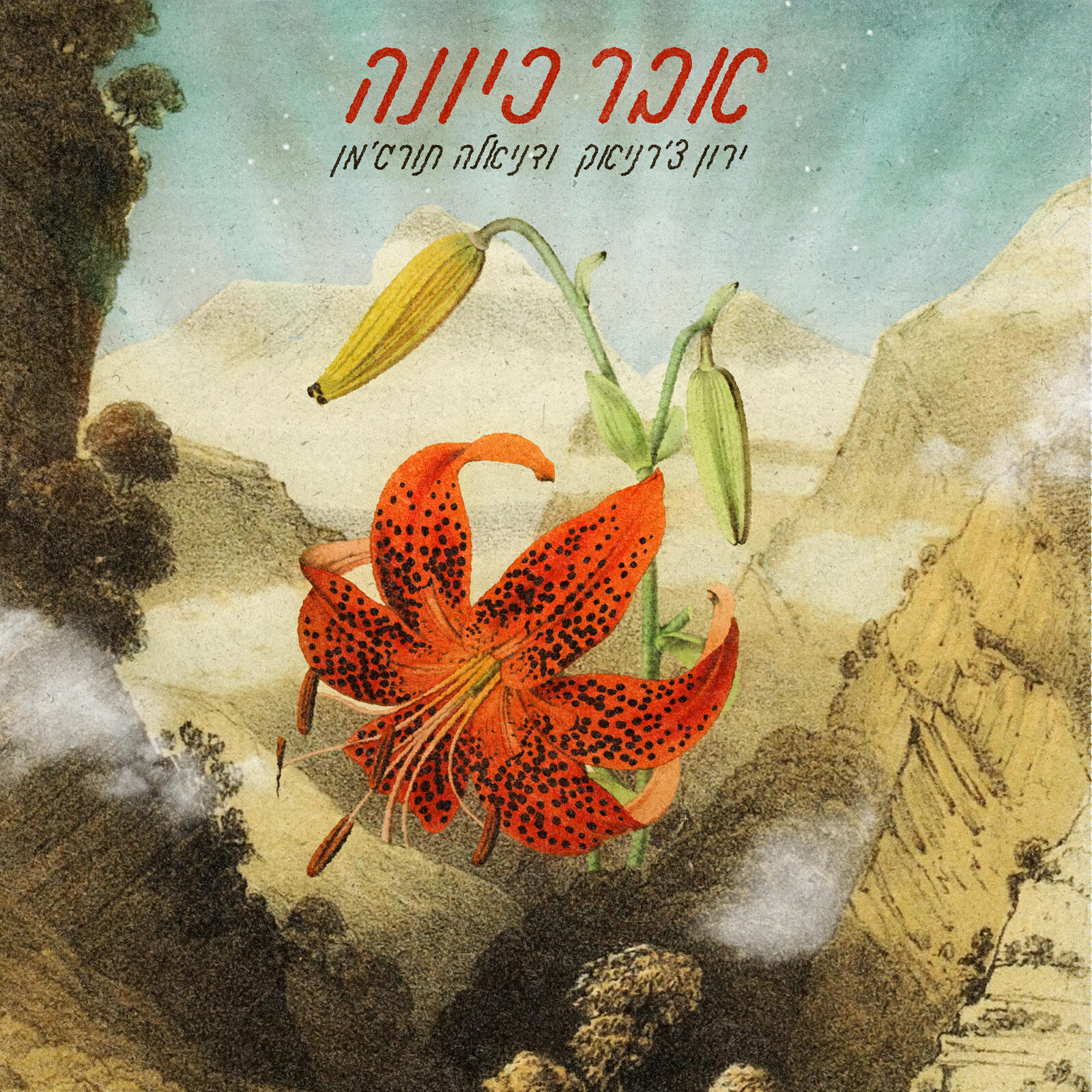 Релиз אבר כיונה