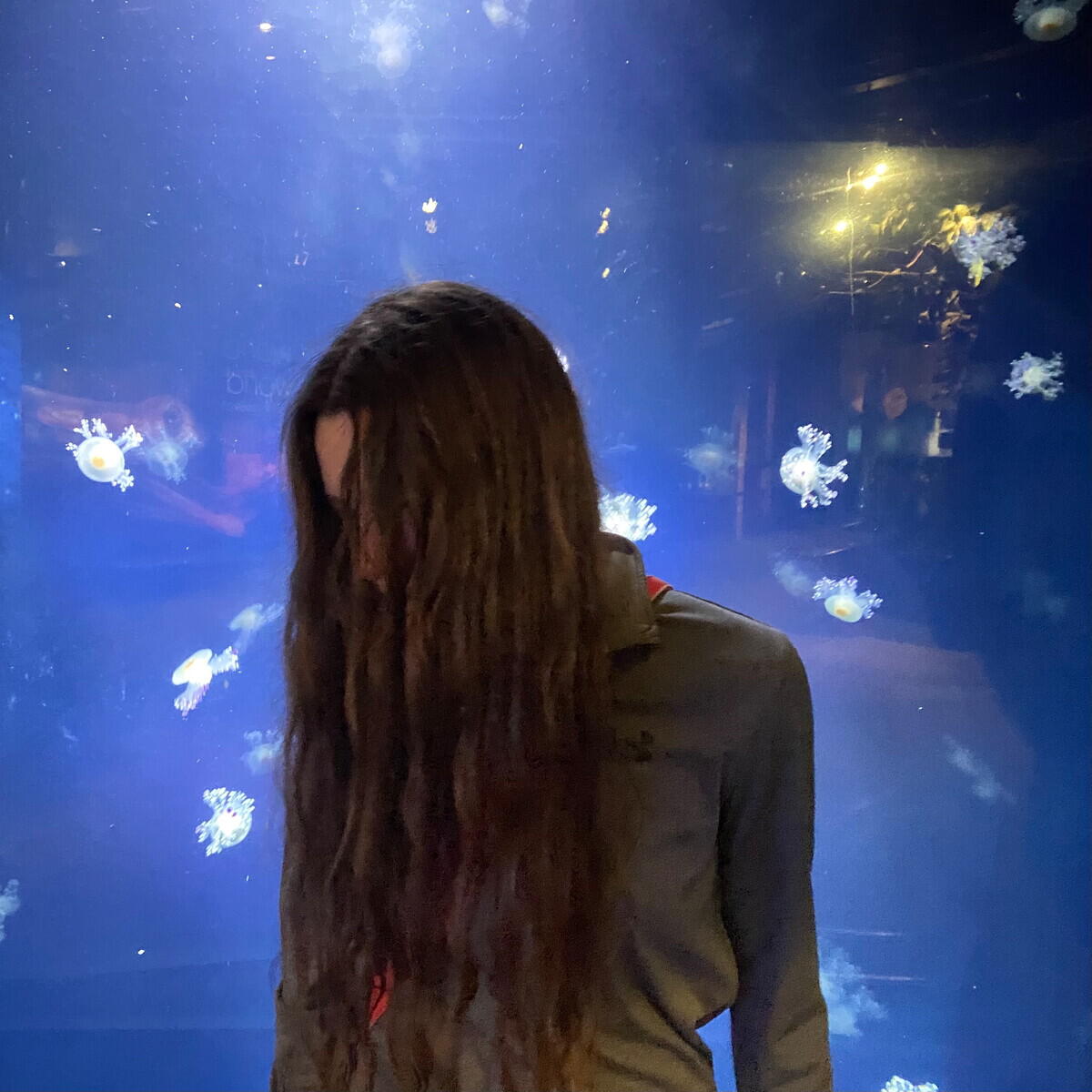 Релиз Molly In The Club