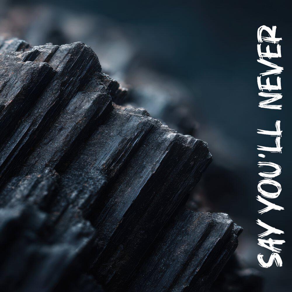 Релиз Say You'll Never