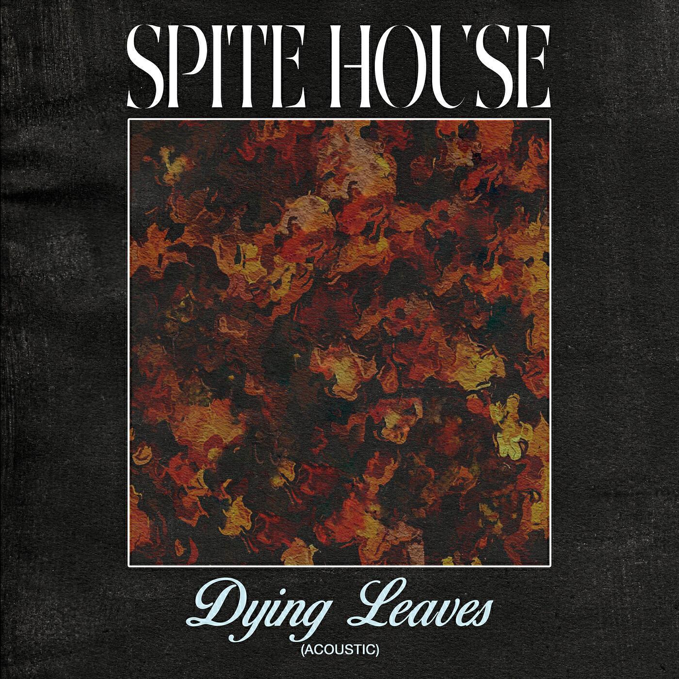 Spite House