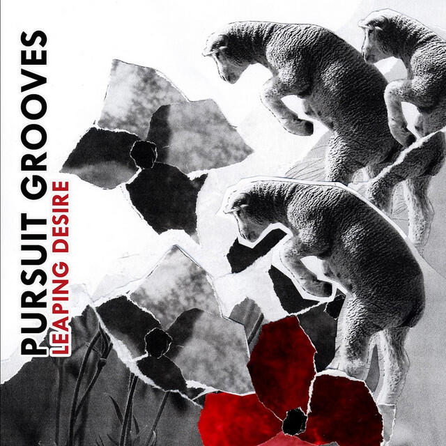 Релиз Leaping Desire