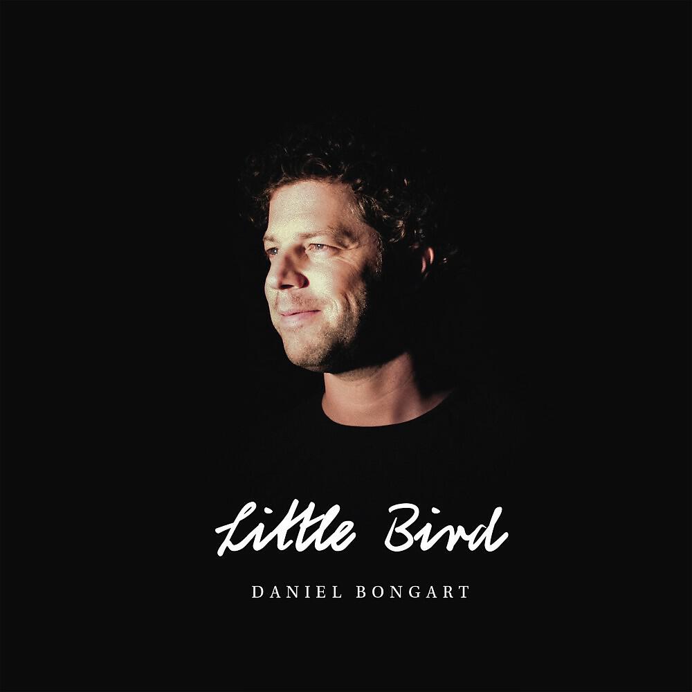 Релиз Little Bird