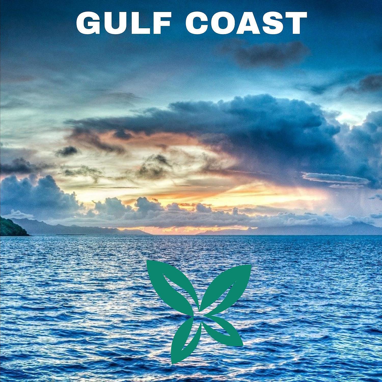 Релиз Gulf Coast