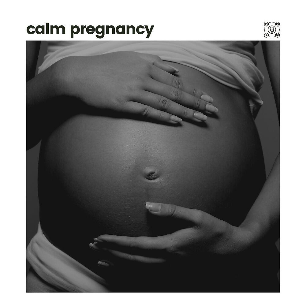 Постер альбома Calm Pregnancy