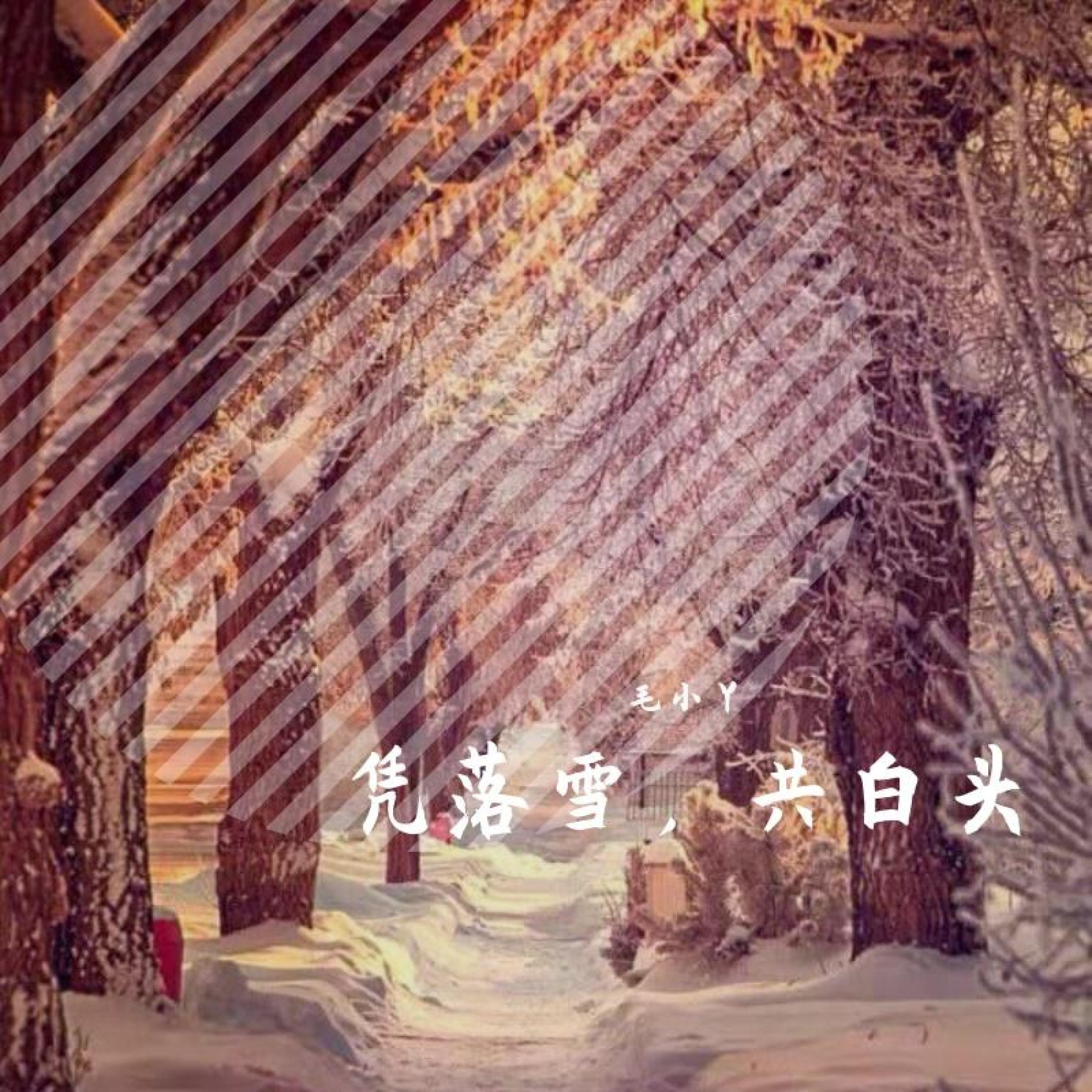 毛小丫