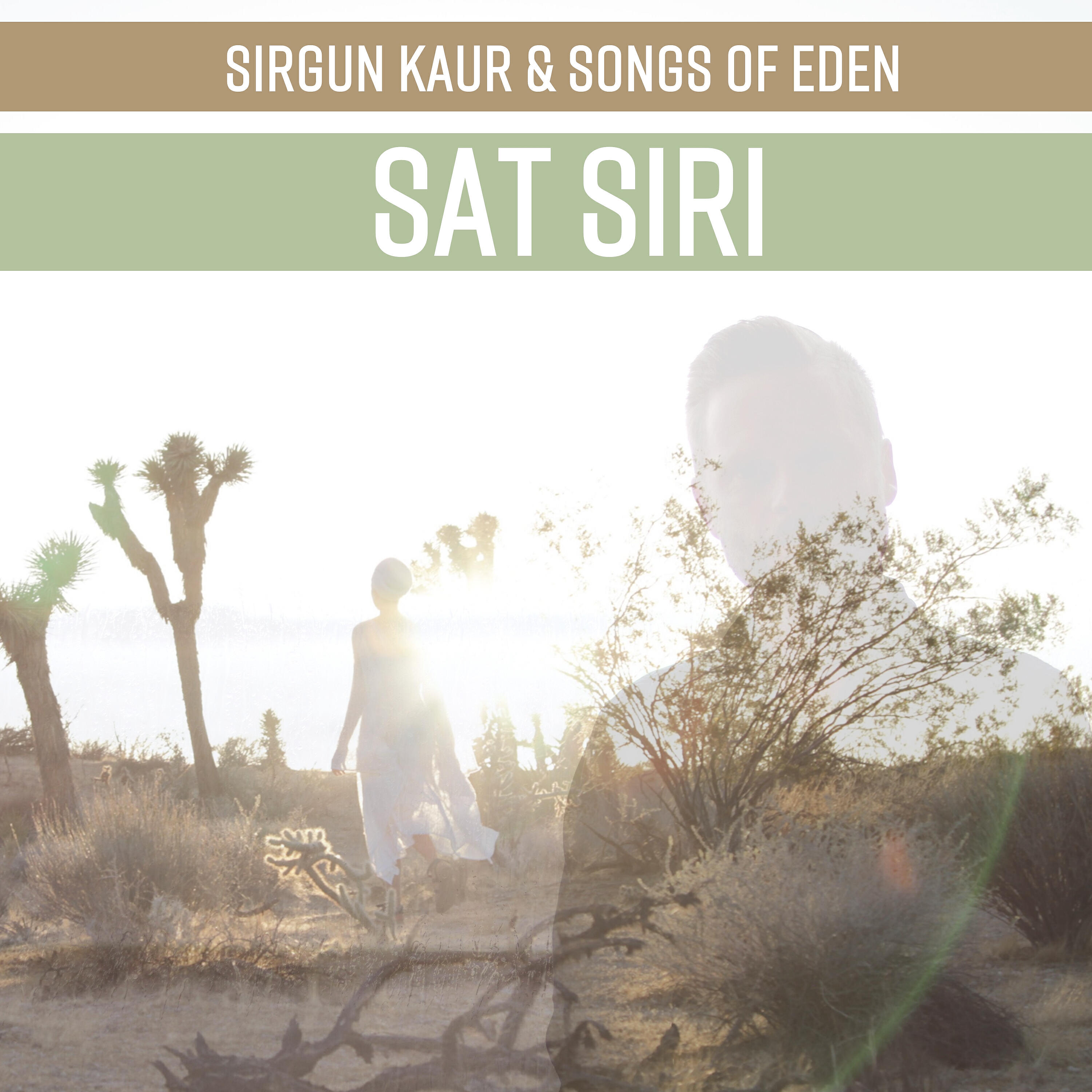 Релиз Sat Siri