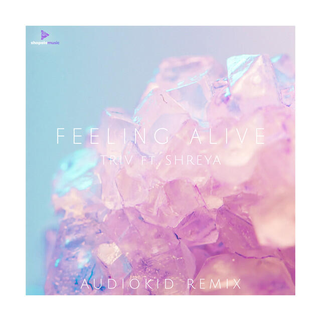 Релиз Feeling Alive (AudioKid Remix)