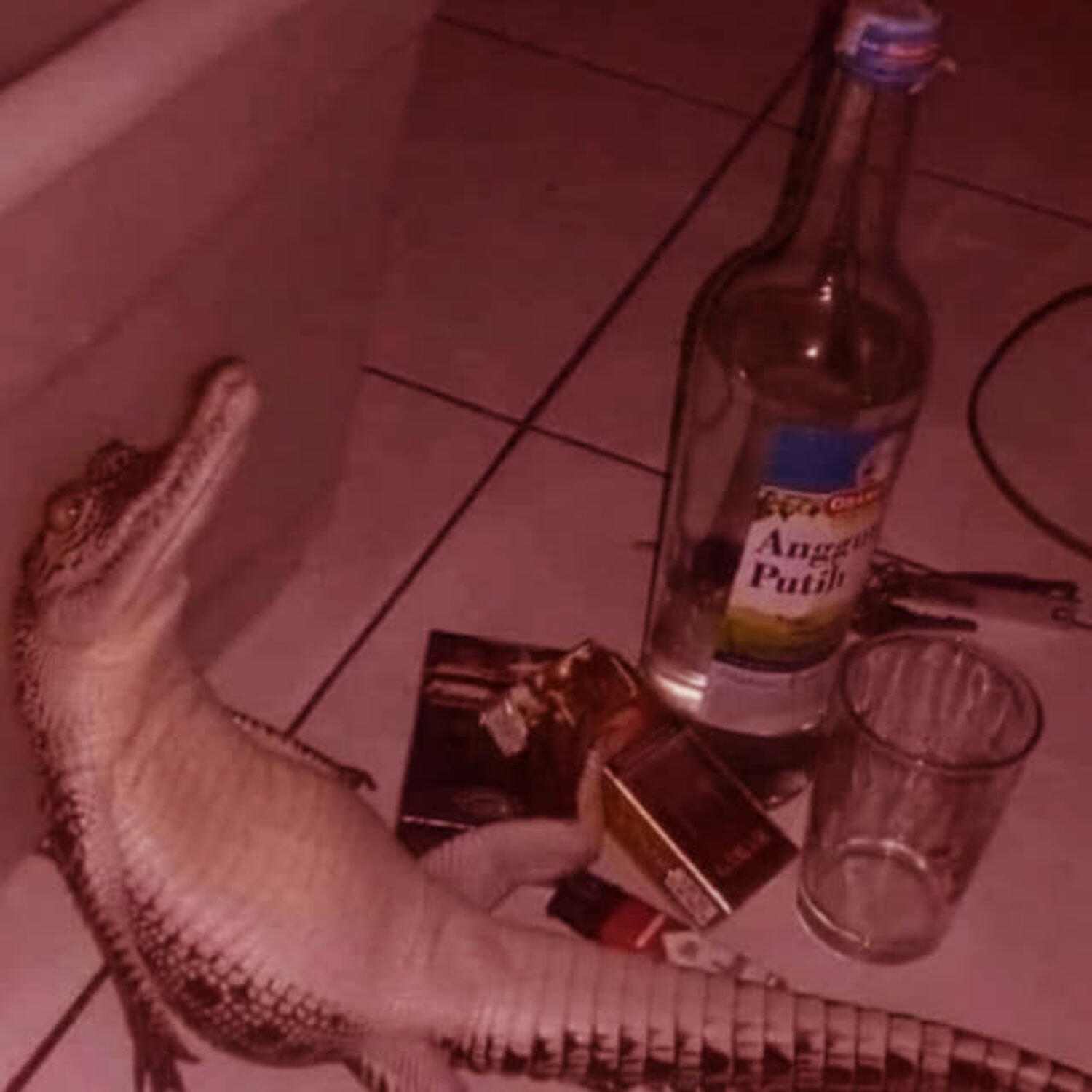 Релиз Crocodile tears