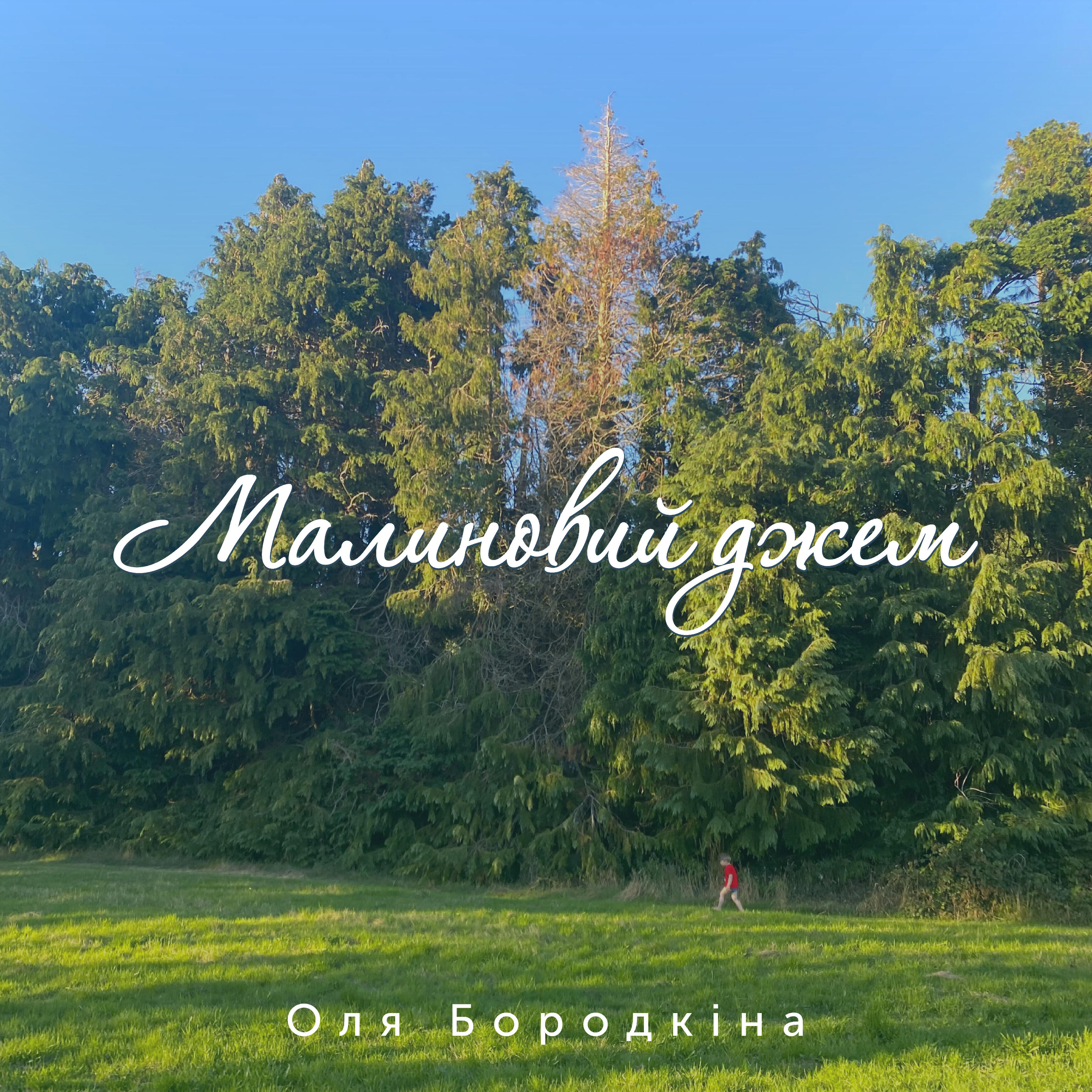 Релиз Малиновий Джем